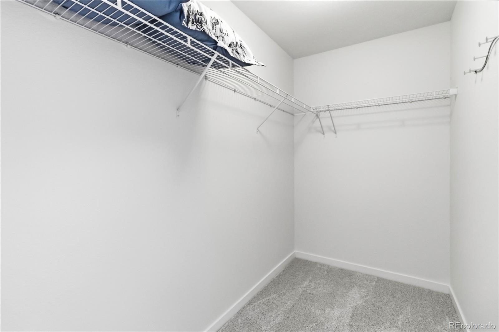 MLS Image #27 for 9981  hough point,parker, Colorado