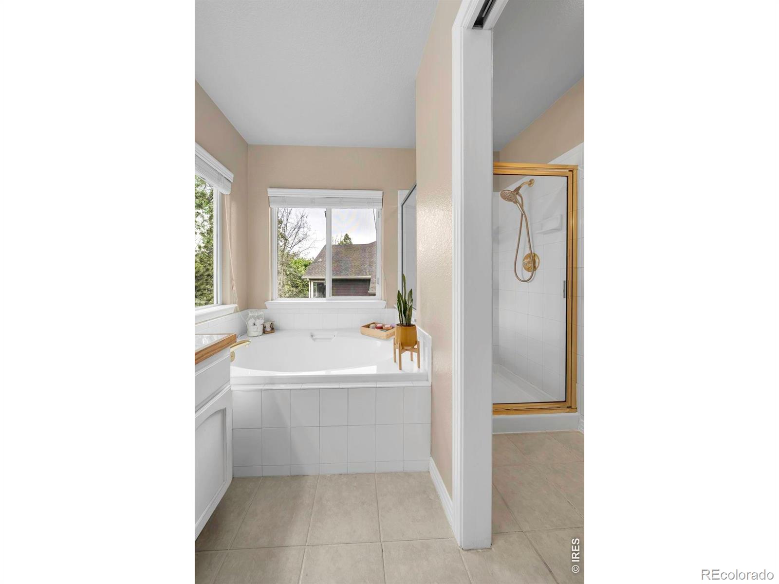 MLS Image #20 for 2233  bluebird drive,longmont, Colorado