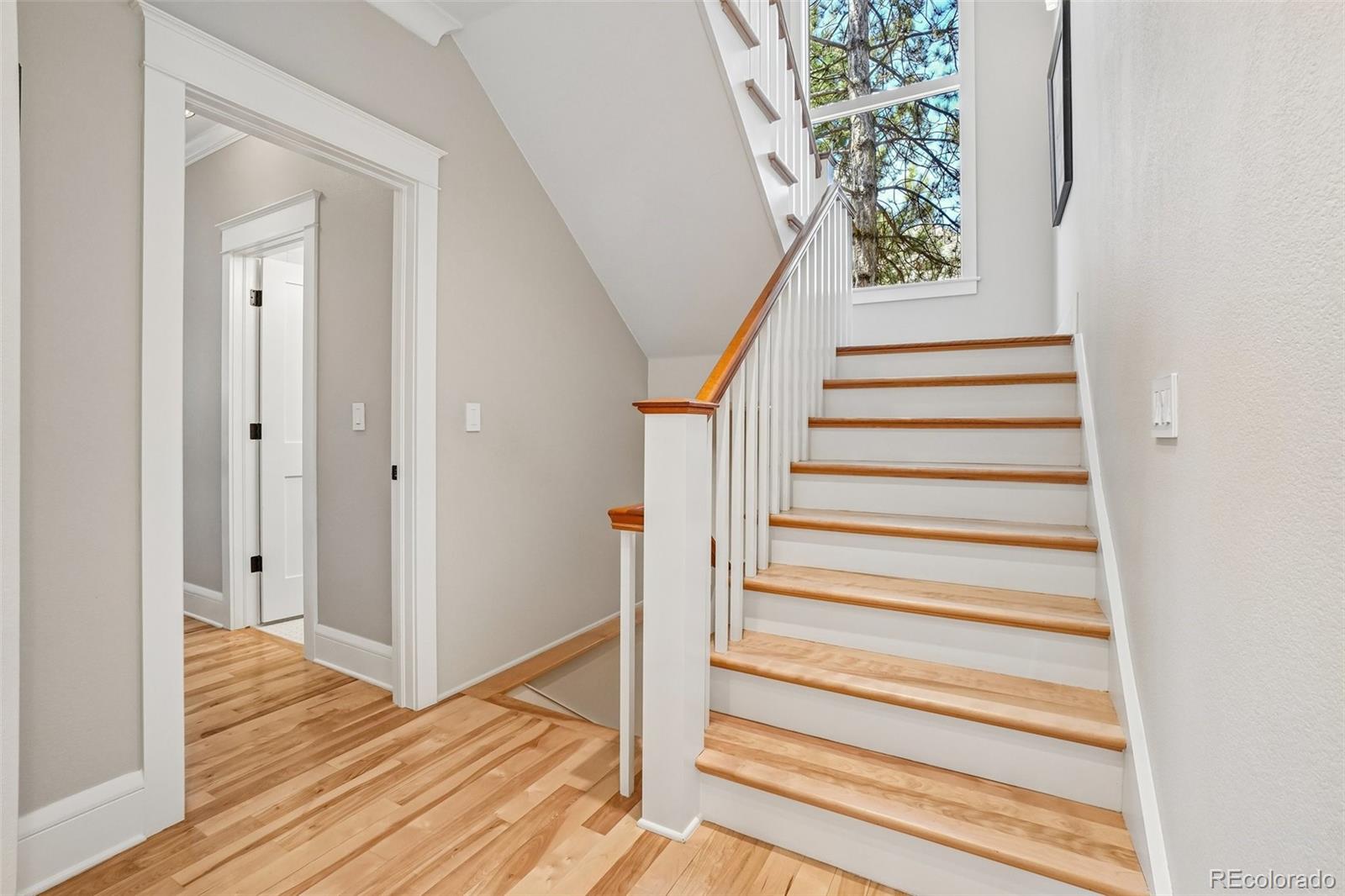 MLS Image #20 for 8408  brittany place,niwot, Colorado