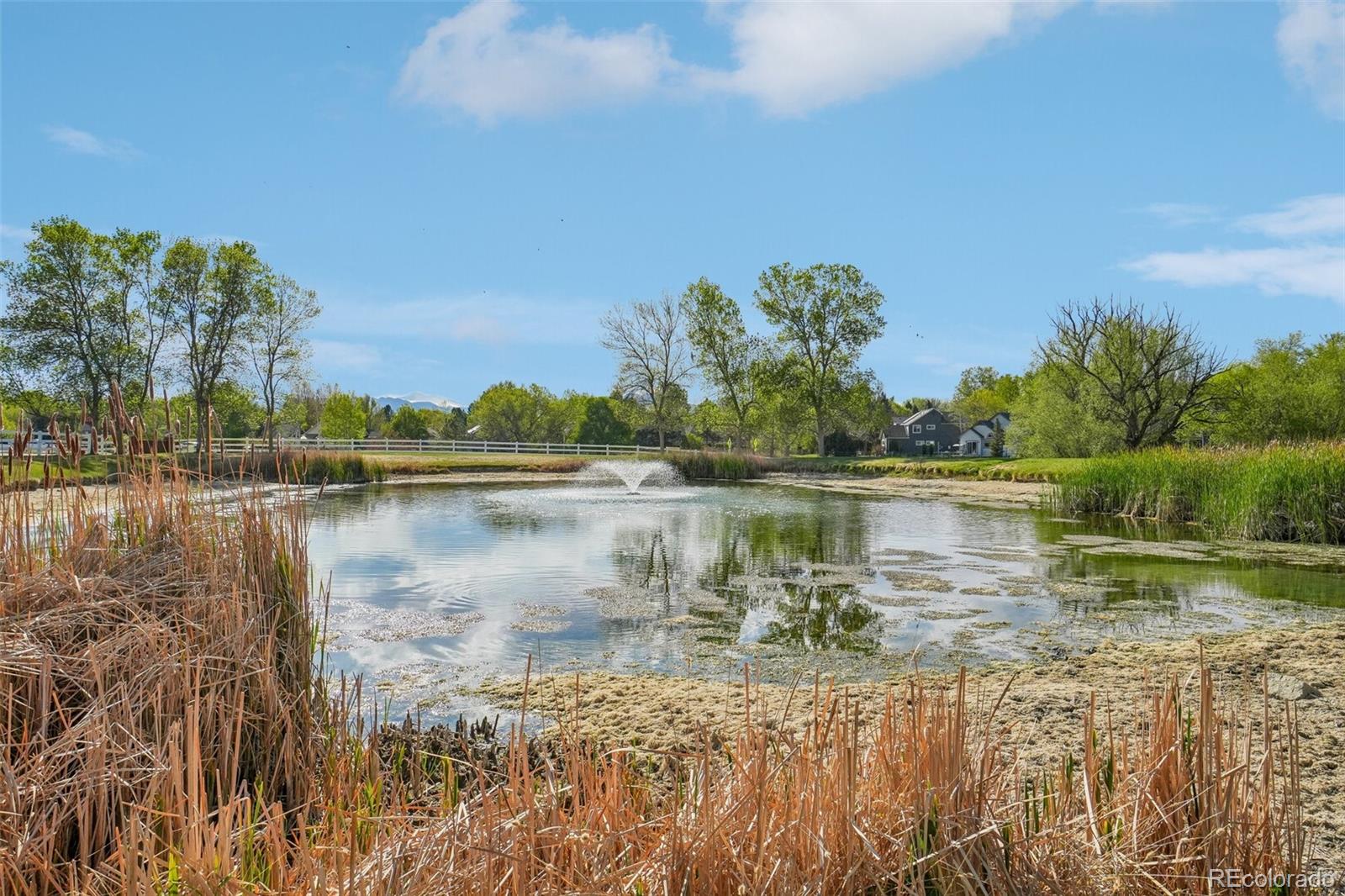 MLS Image #46 for 8408  brittany place,niwot, Colorado