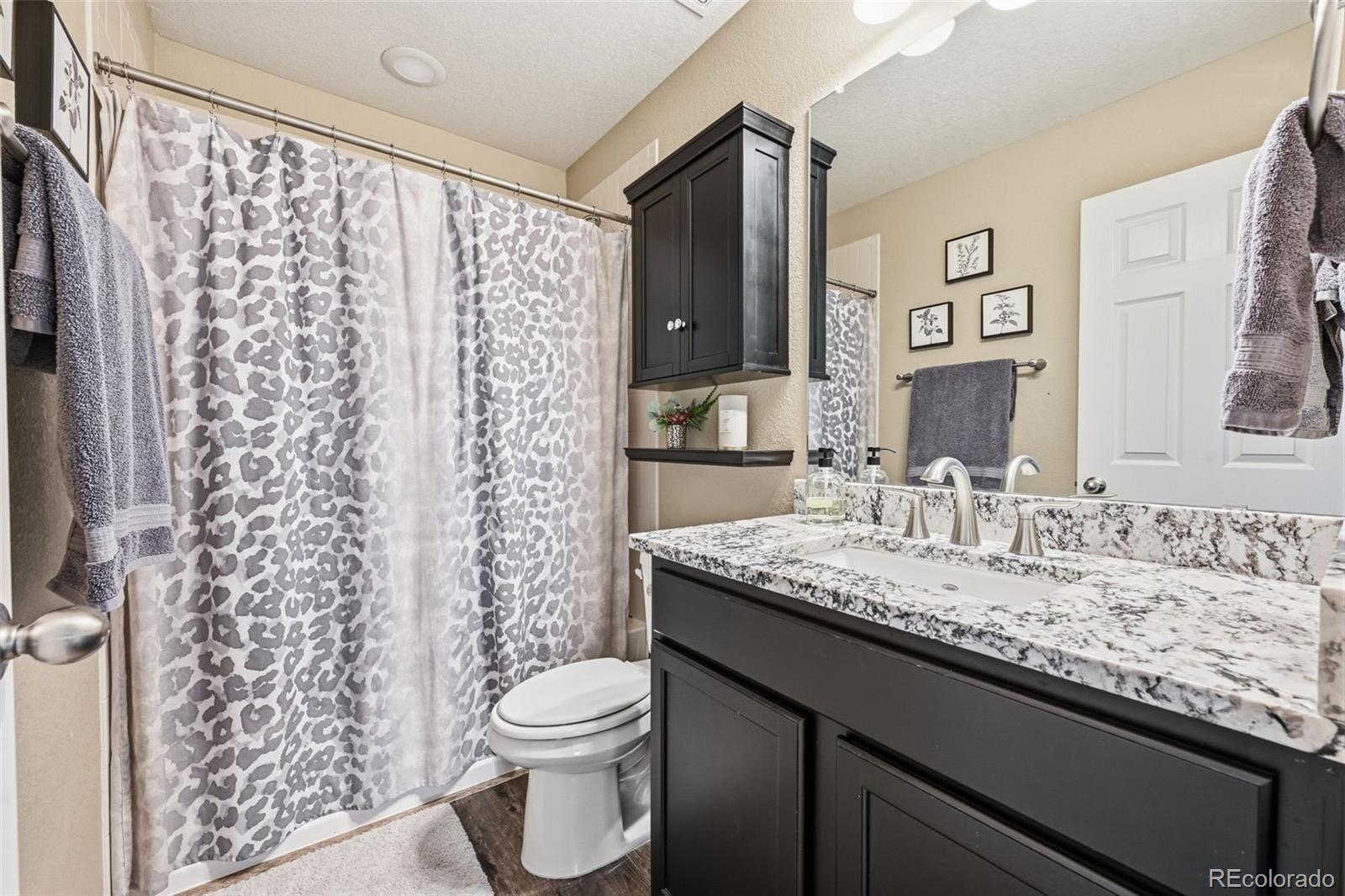MLS Image #22 for 9149  fraser river street,littleton, Colorado