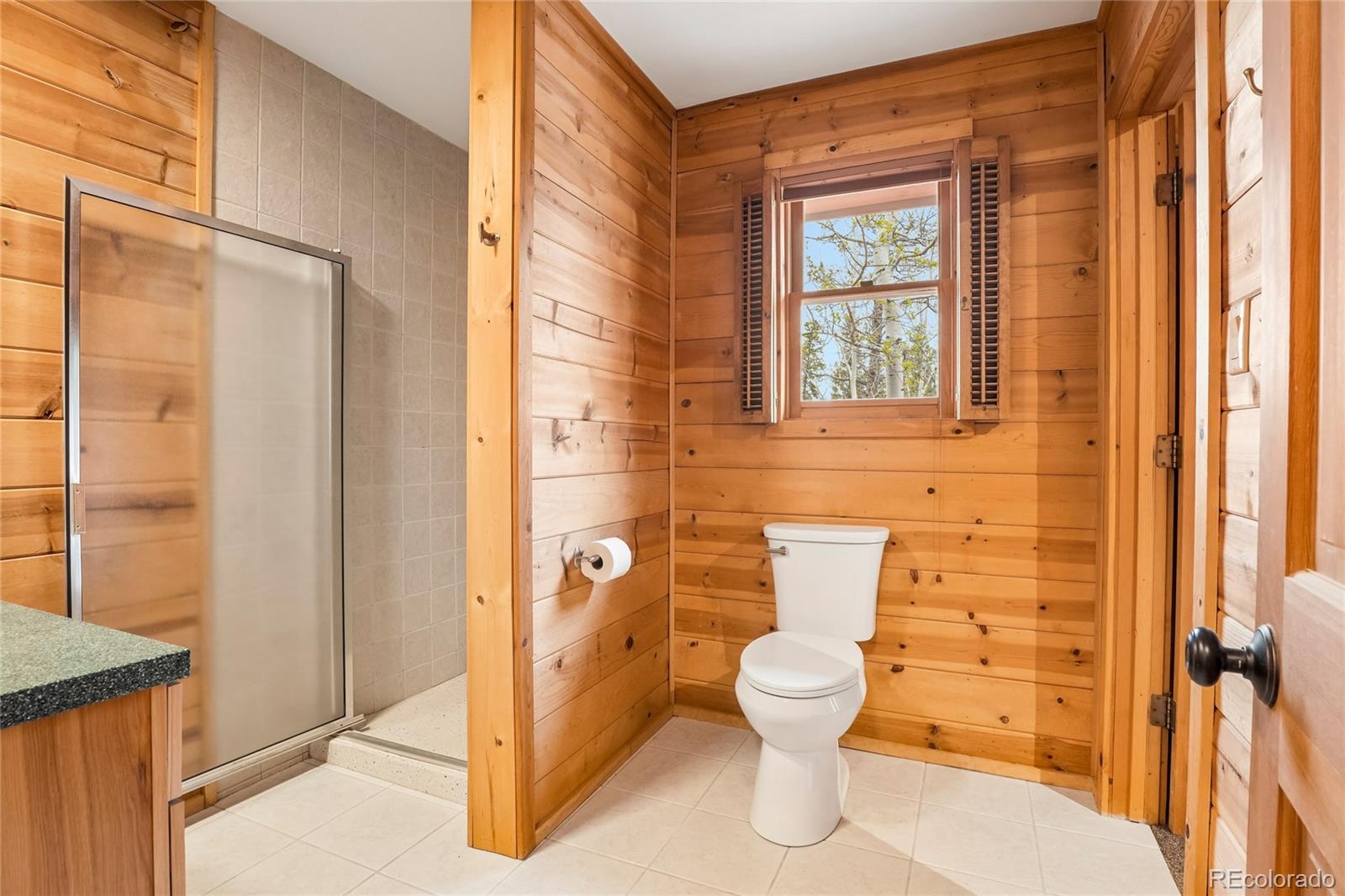 MLS Image #20 for 5  debra ann road,golden, Colorado