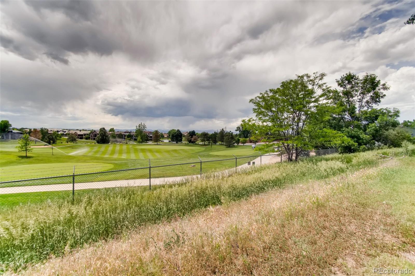 MLS Image #10 for 8756  aberdeen circle,highlands ranch, Colorado