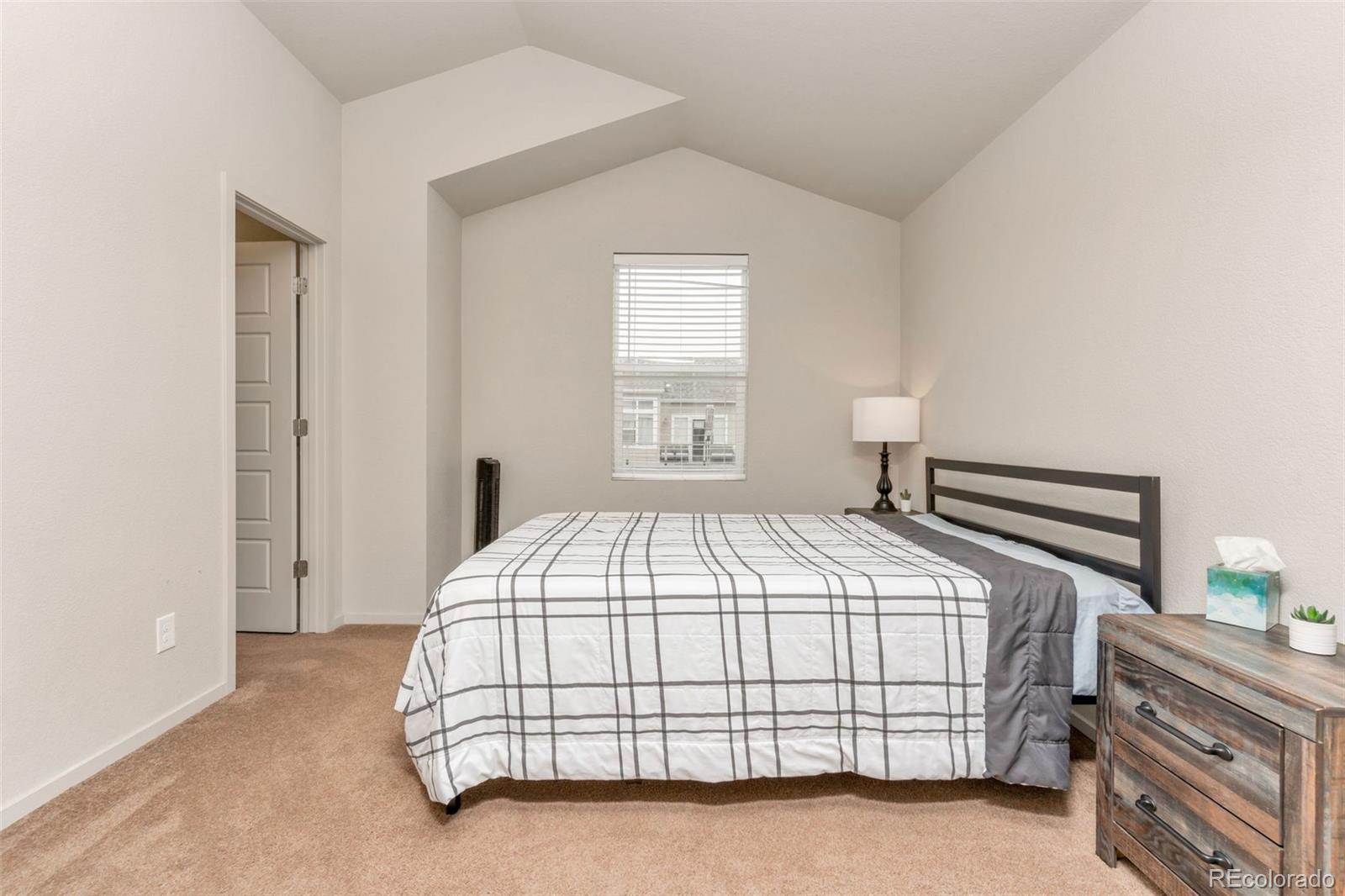 MLS Image #11 for 4637  crestone peak street,brighton, Colorado