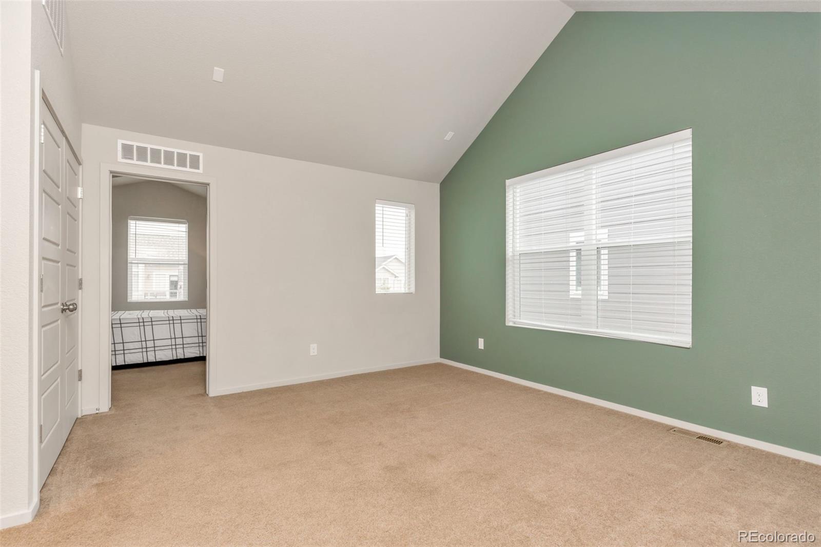 MLS Image #18 for 4637  crestone peak street,brighton, Colorado