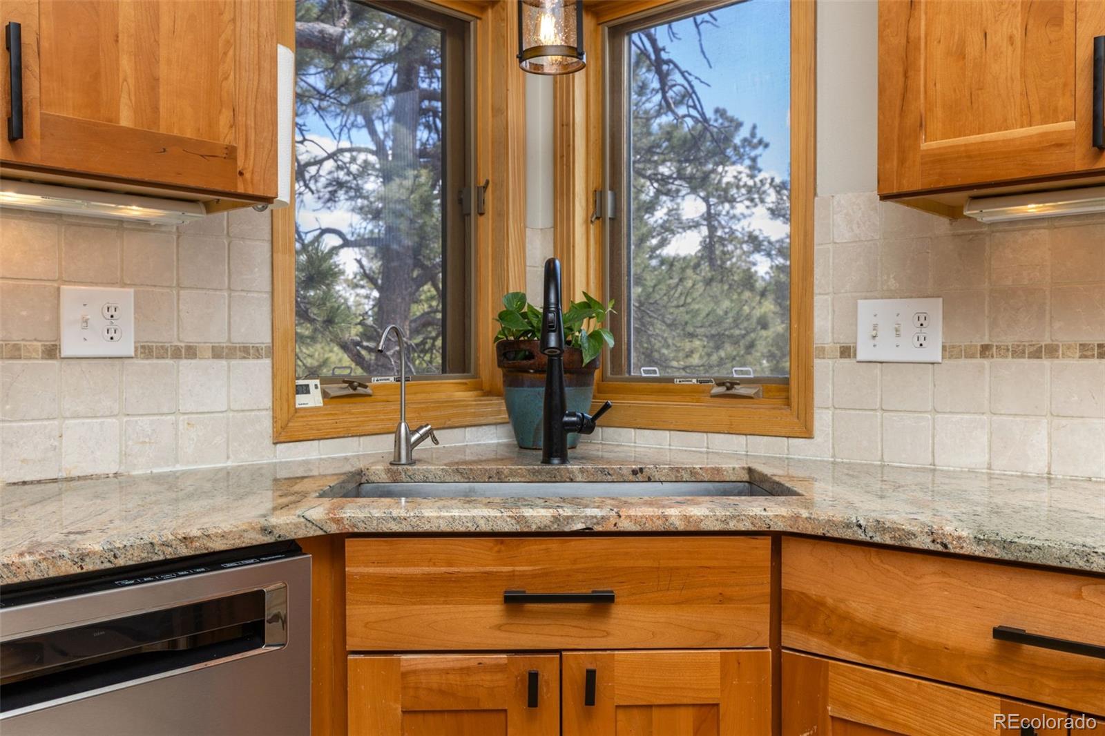MLS Image #11 for 23971  mormon drive,conifer, Colorado