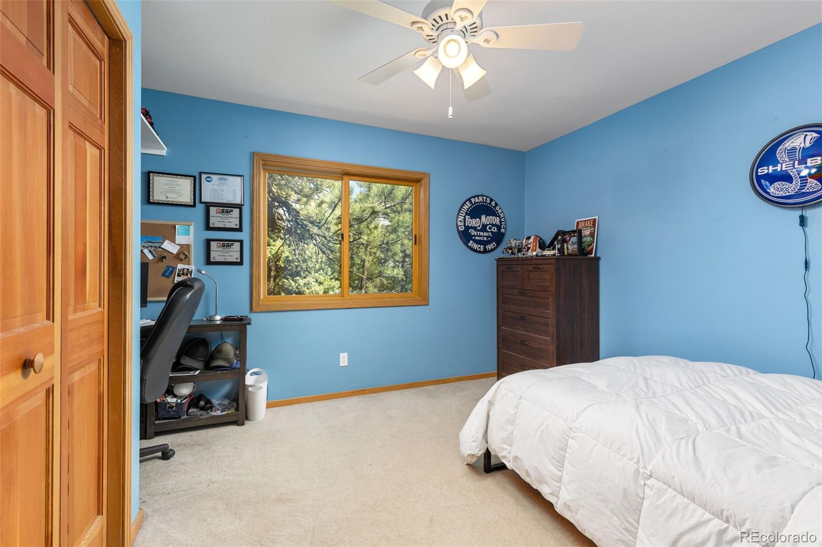 MLS Image #21 for 23971  mormon drive,conifer, Colorado