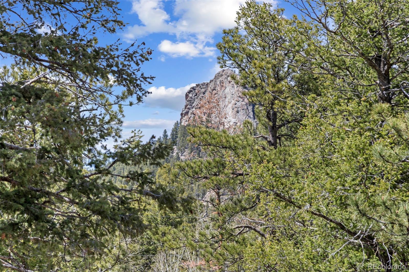 MLS Image #35 for 23971  mormon drive,conifer, Colorado