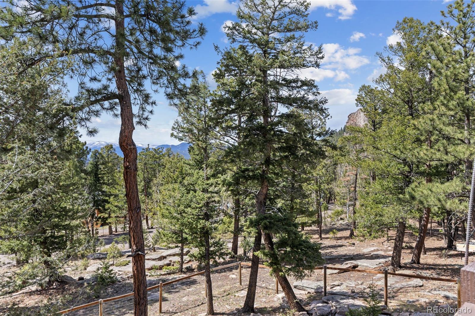 MLS Image #42 for 23971  mormon drive,conifer, Colorado