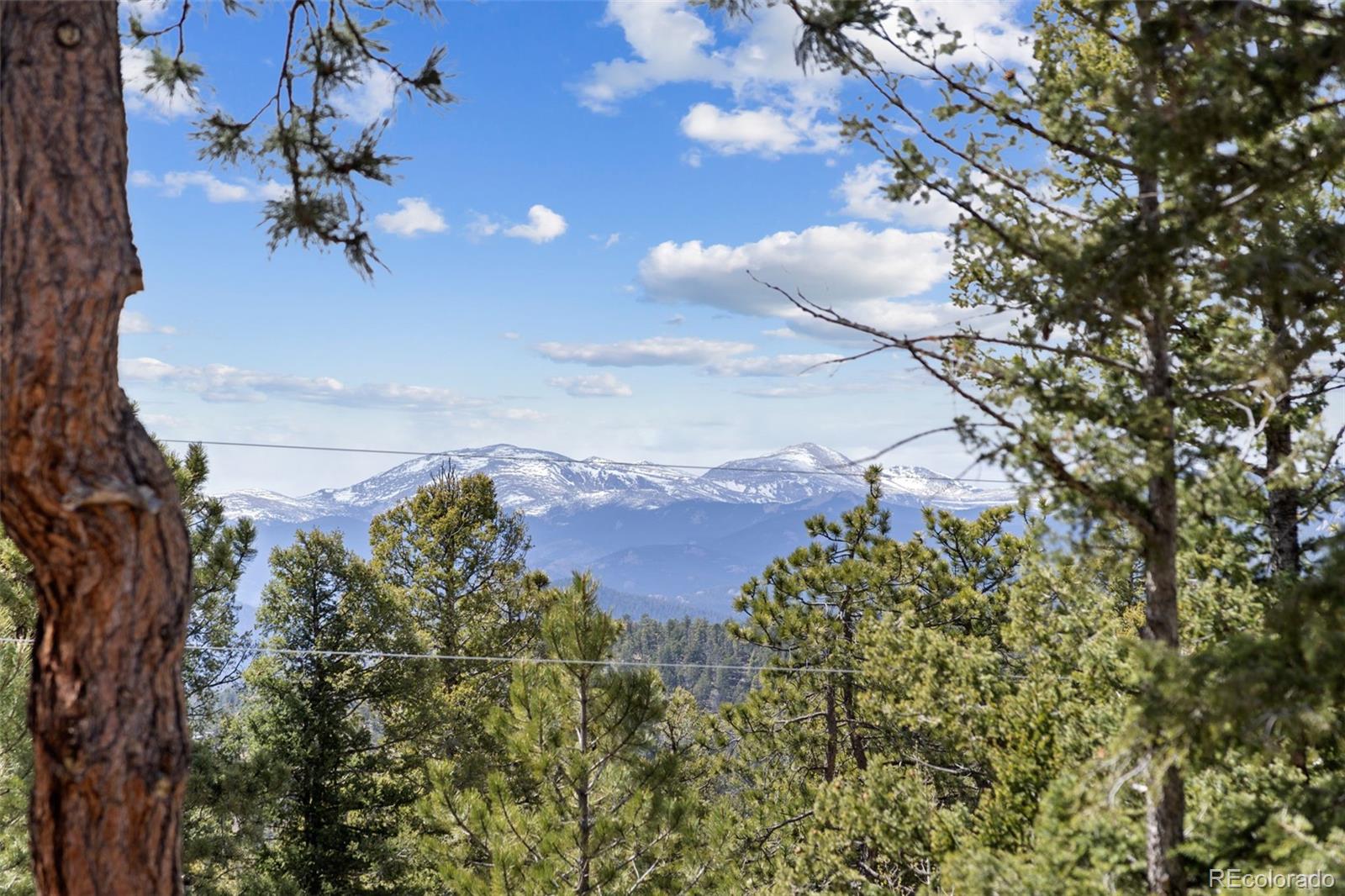 MLS Image #43 for 23971  mormon drive,conifer, Colorado