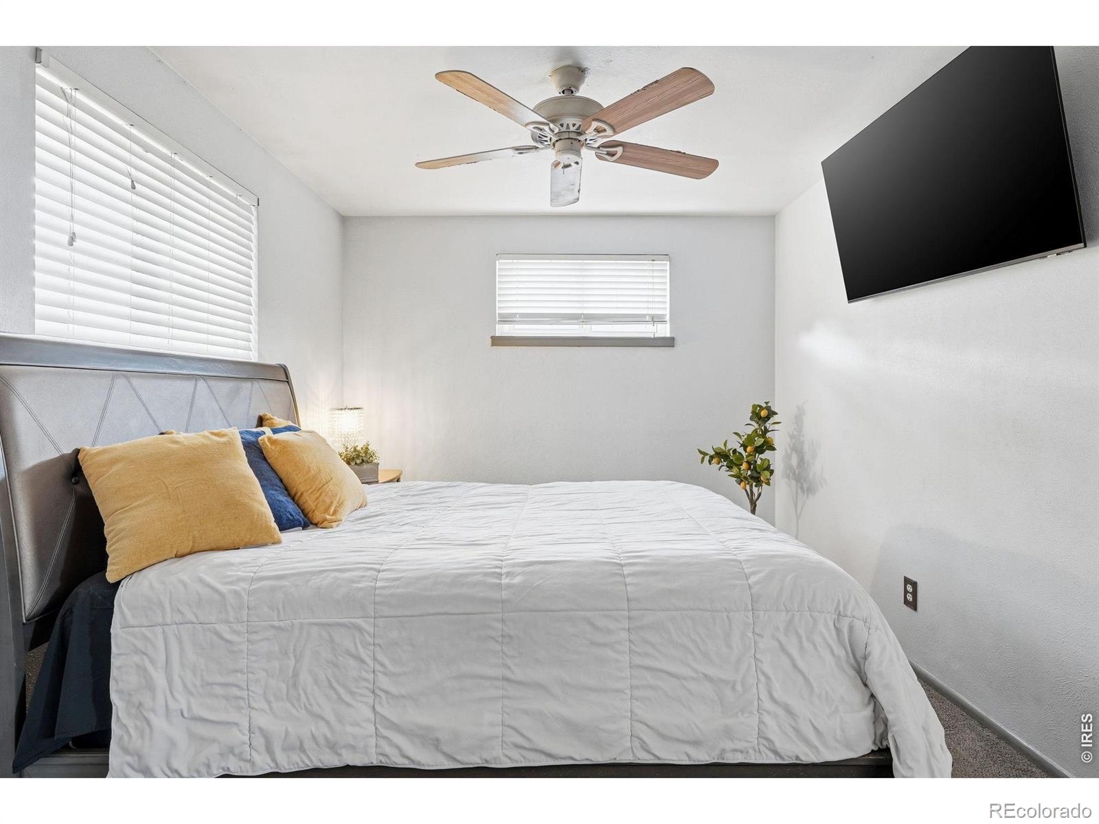 MLS Image #10 for 8260  bluebell way,denver, Colorado