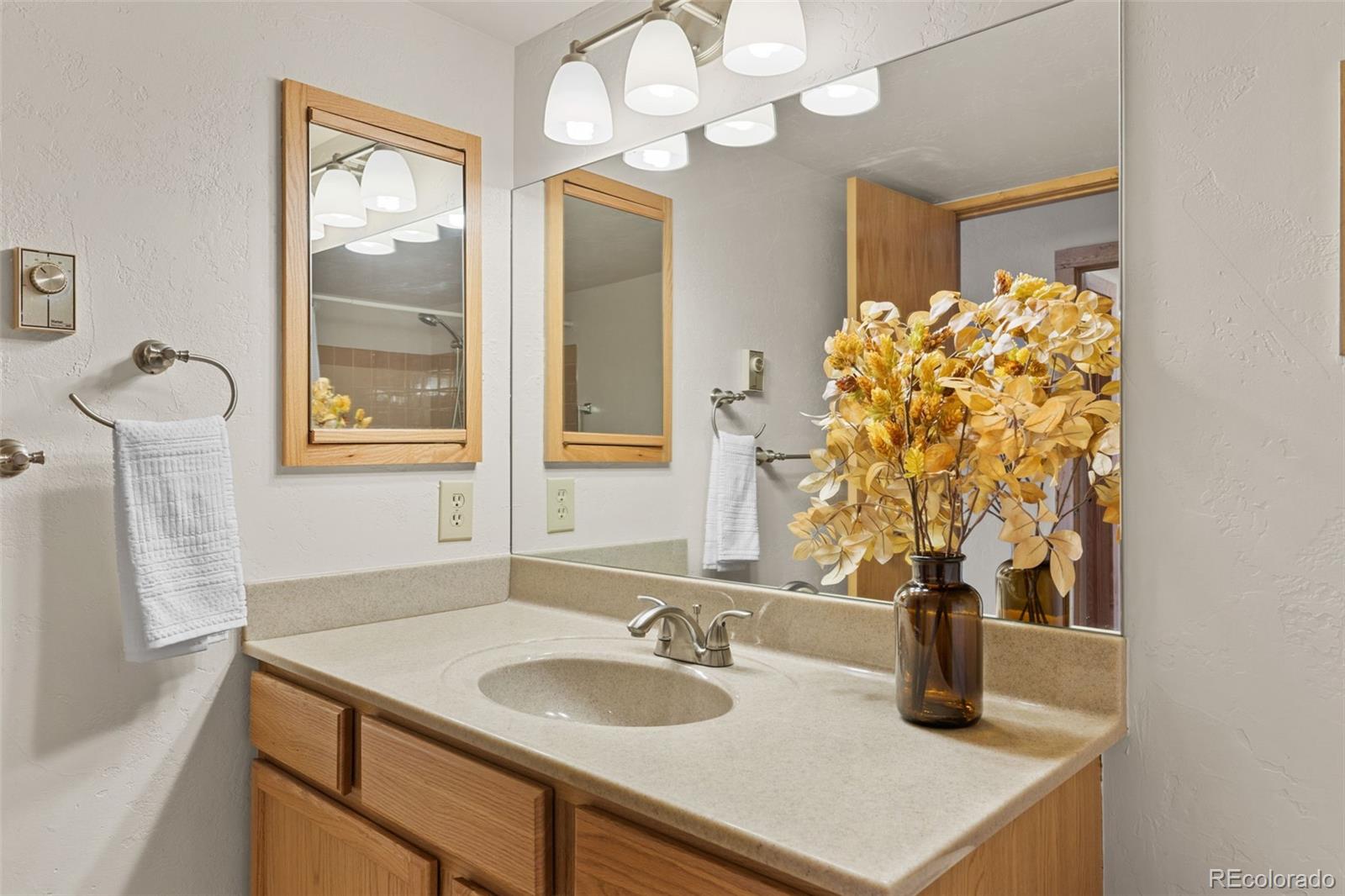 MLS Image #22 for 4626  ryan gulch road,silverthorne, Colorado