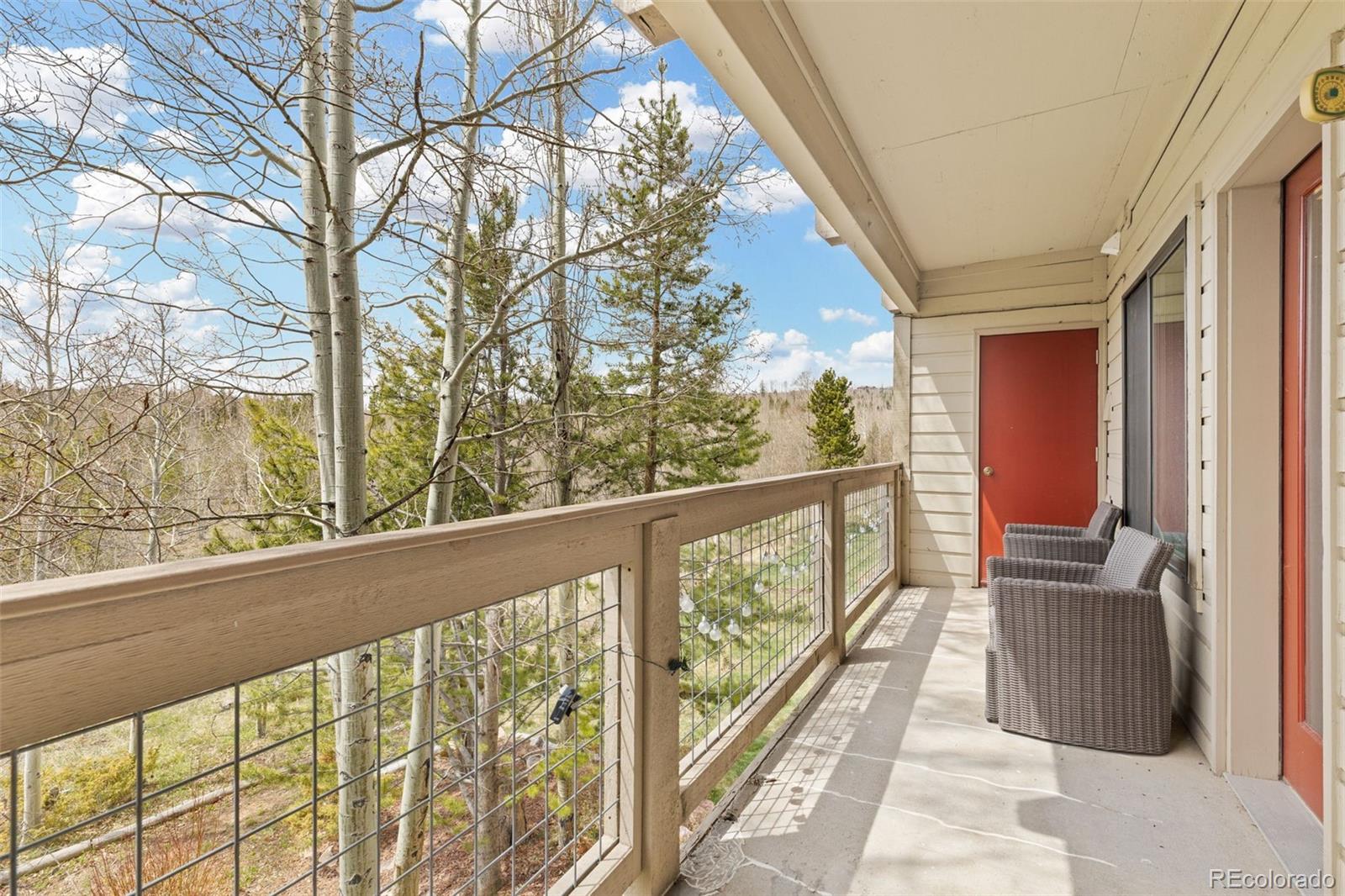 MLS Image #24 for 4626  ryan gulch road,silverthorne, Colorado