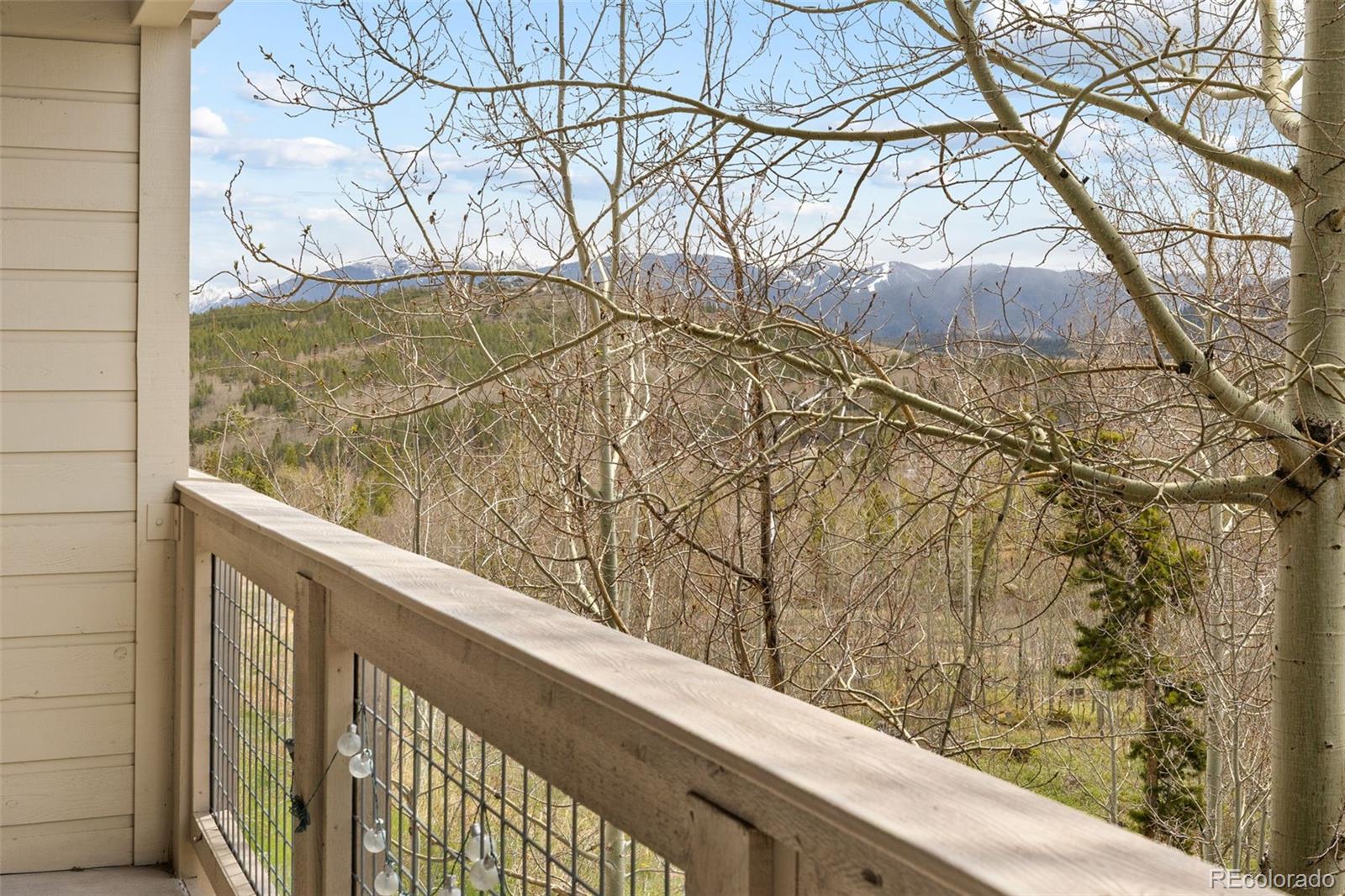 MLS Image #25 for 4626  ryan gulch road,silverthorne, Colorado