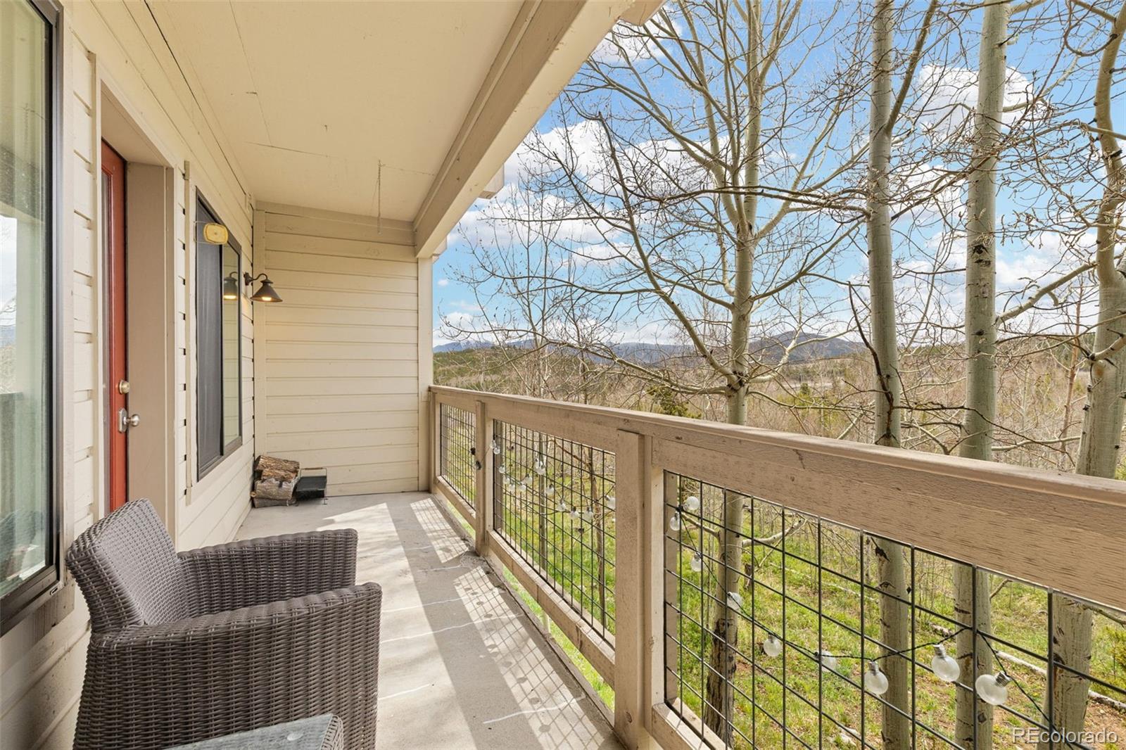 MLS Image #26 for 4626  ryan gulch road,silverthorne, Colorado