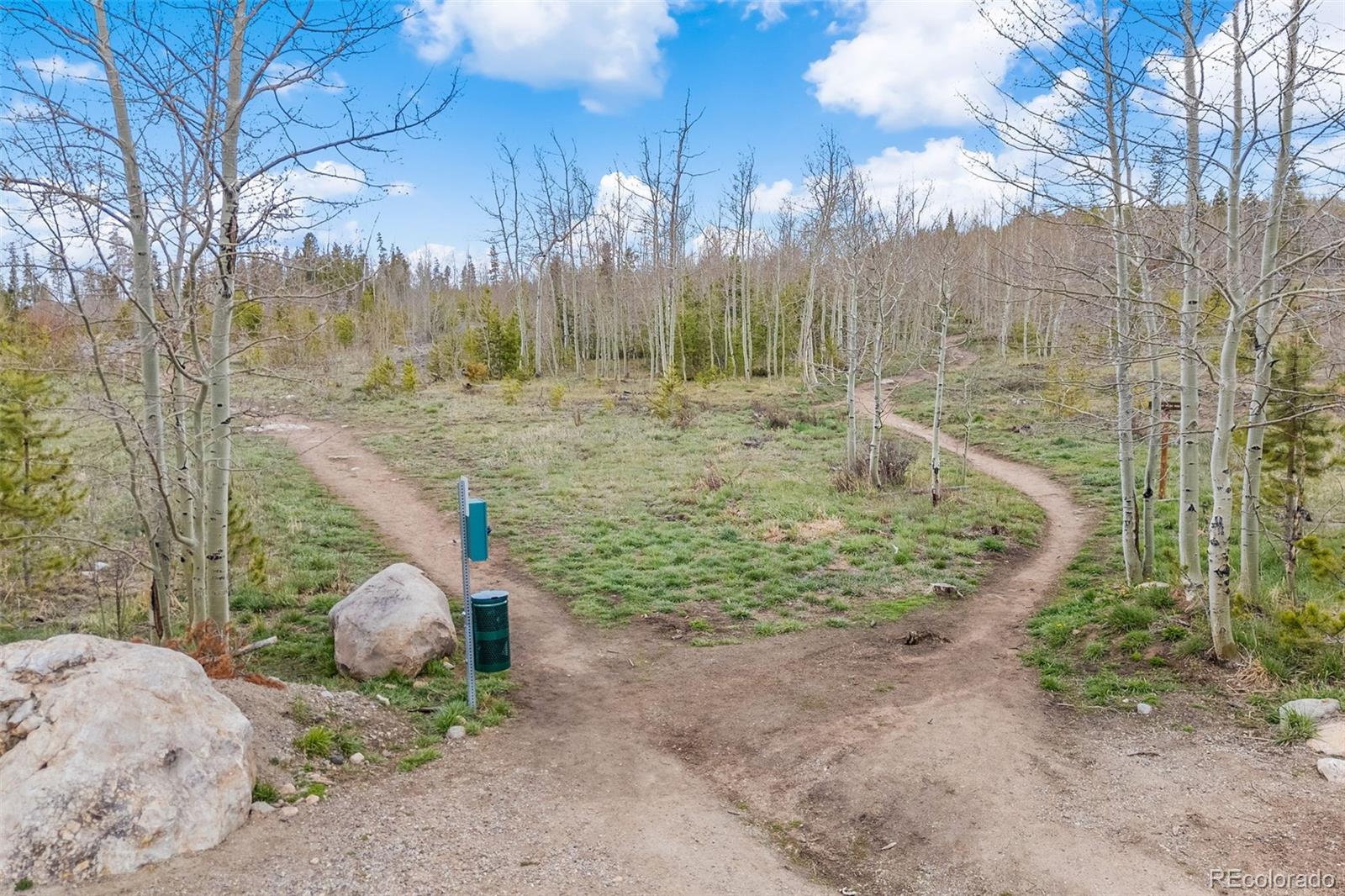 MLS Image #28 for 4626  ryan gulch road,silverthorne, Colorado