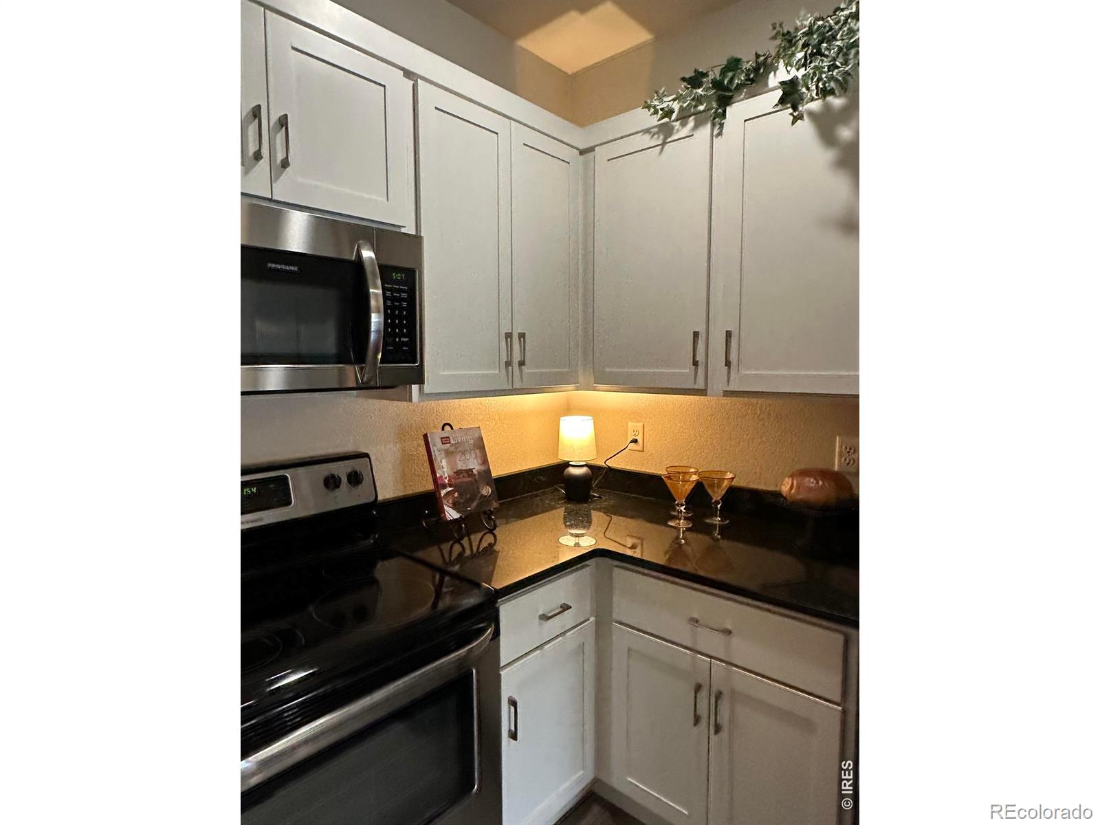 MLS Image #11 for 2608  kansas drive,fort collins, Colorado