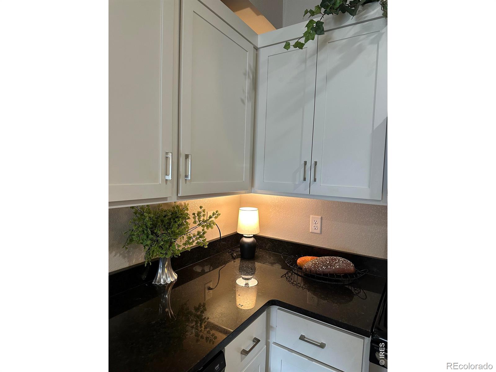 MLS Image #13 for 2608  kansas drive,fort collins, Colorado
