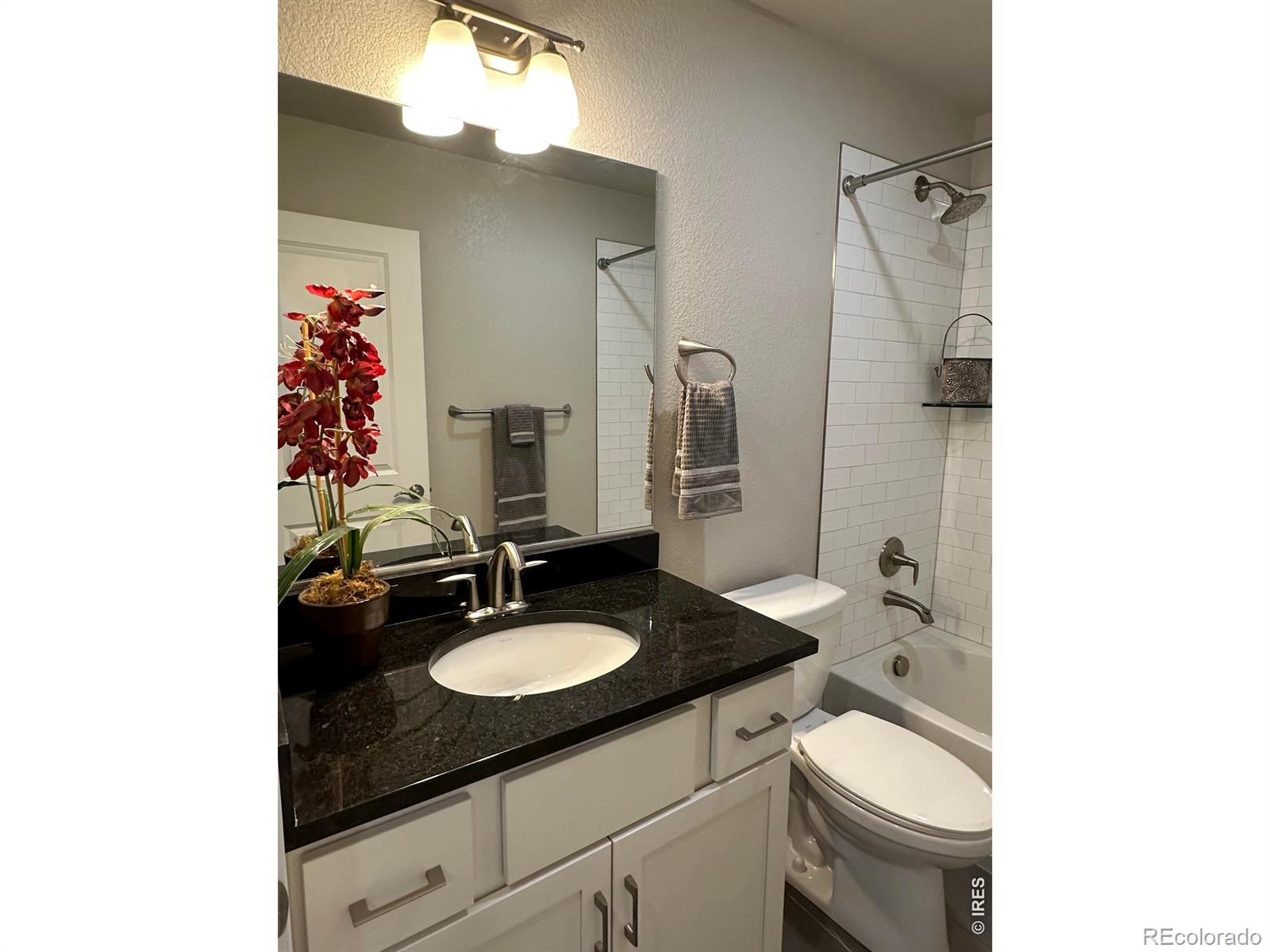 MLS Image #22 for 2608  kansas drive,fort collins, Colorado