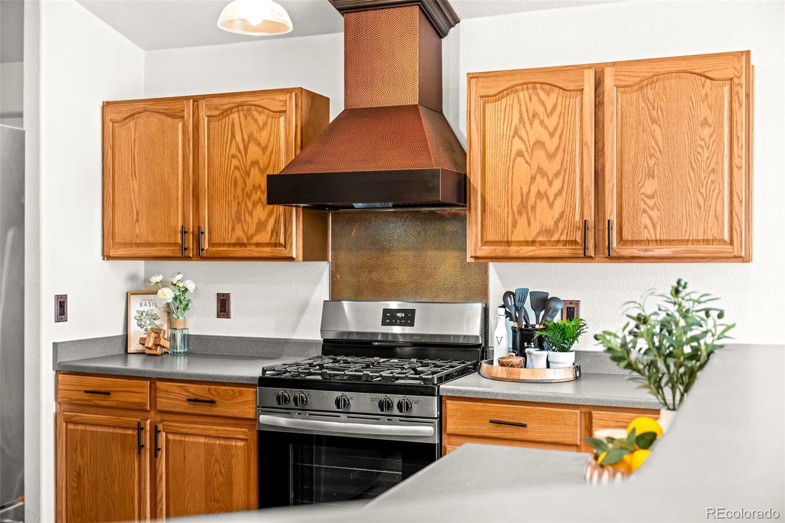 MLS Image #16 for 8795 e 105th court,henderson, Colorado