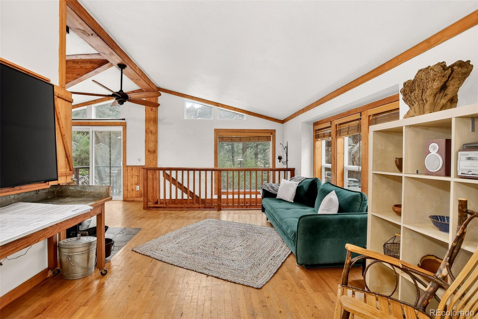 MLS Image #8 for 16070 s elk creek road,pine, Colorado