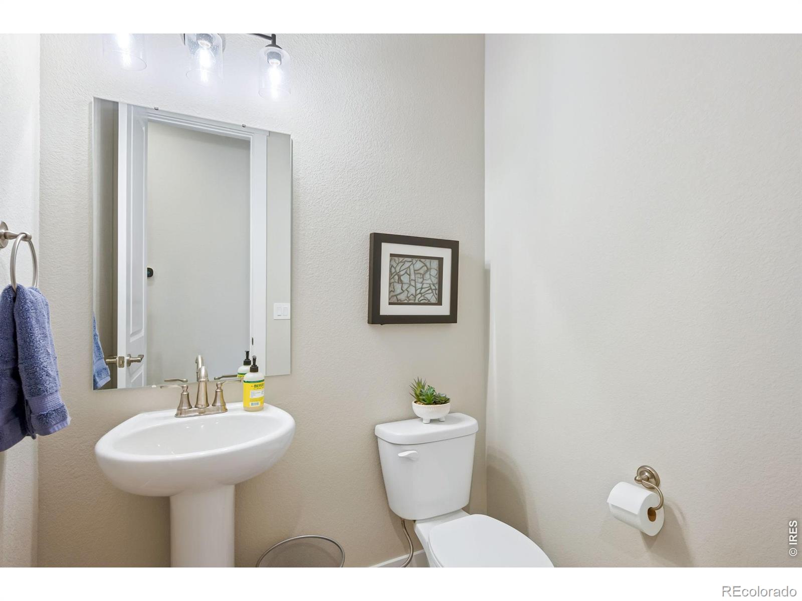 MLS Image #22 for 2739  prairie flax street,berthoud, Colorado