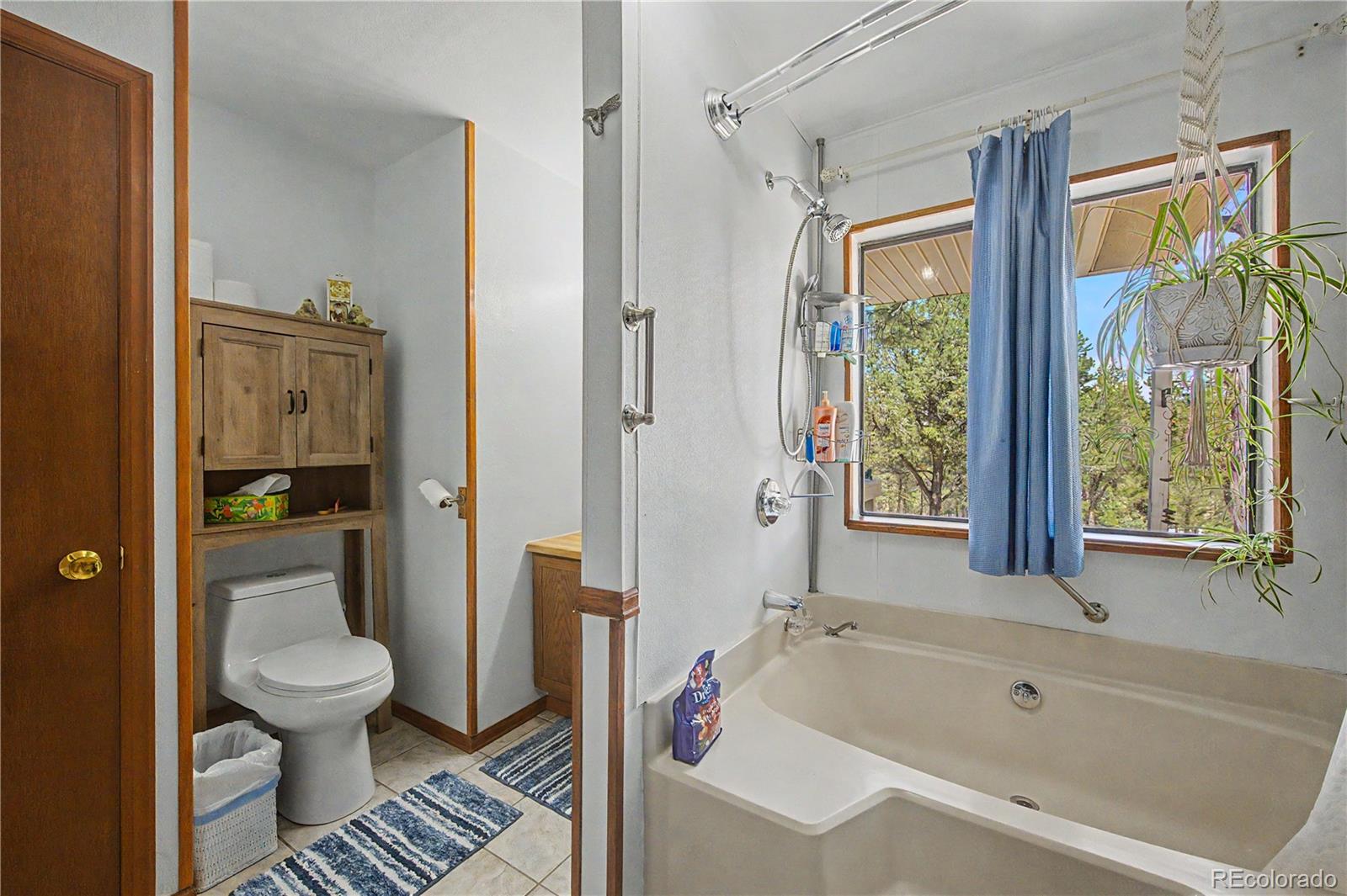 MLS Image #27 for 539  12th trail,cotopaxi, Colorado