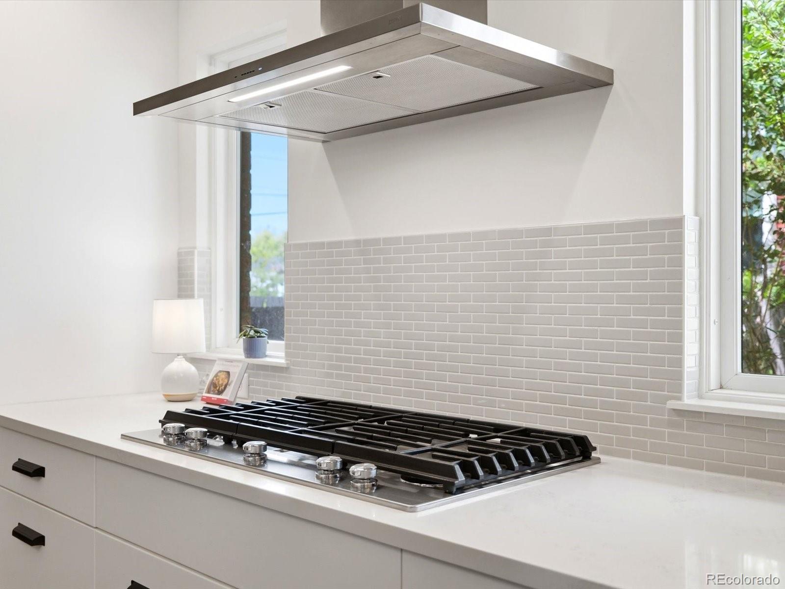 MLS Image #9 for 245  coral way,broomfield, Colorado