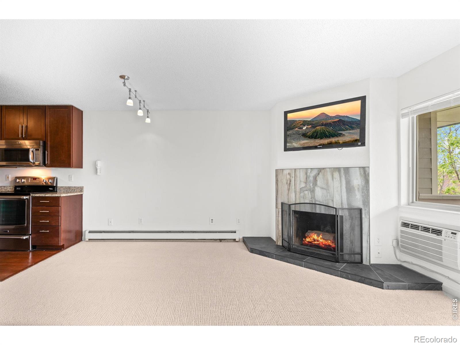 MLS Image #5 for 3120  corona trail,boulder, Colorado