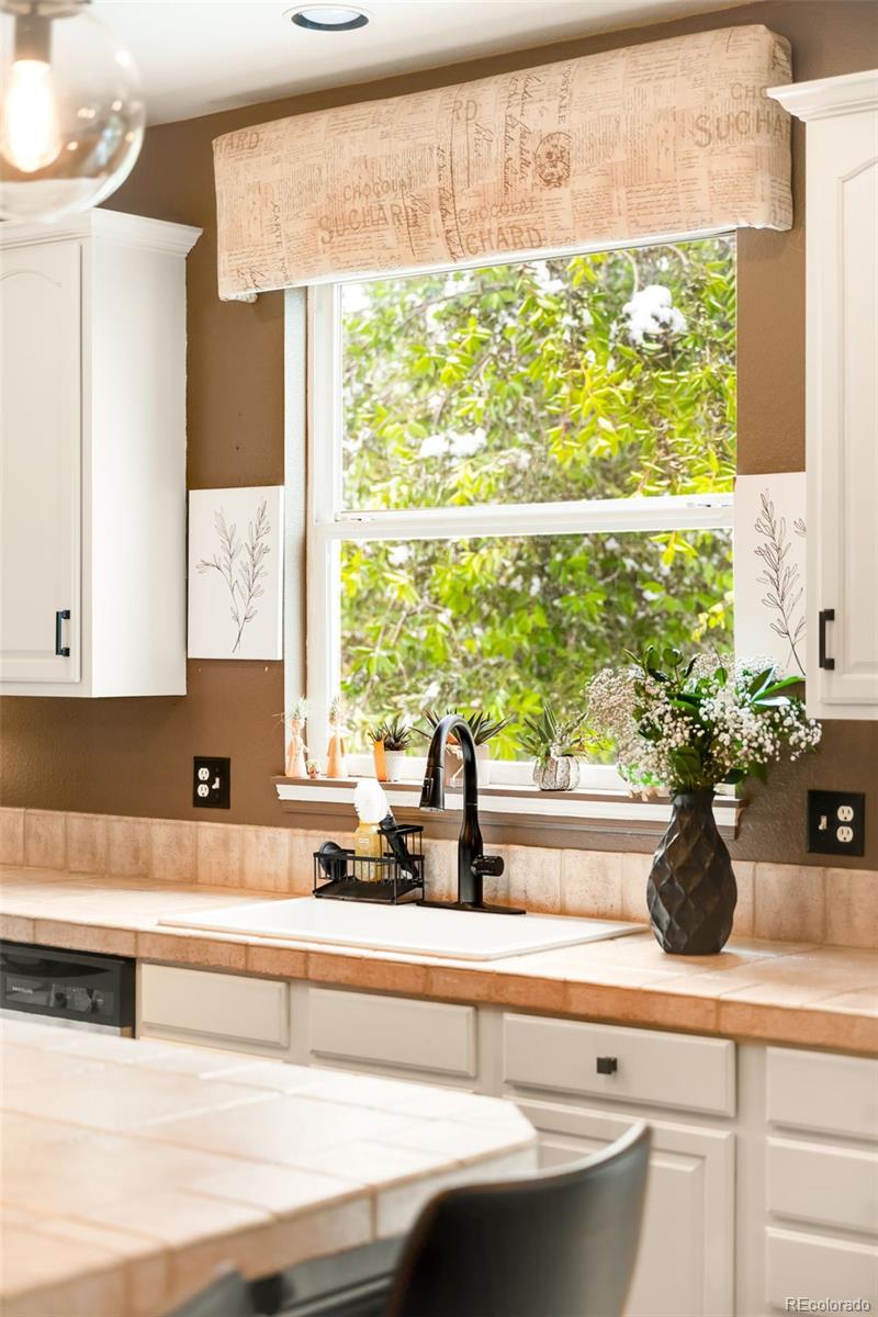 MLS Image #13 for 869  shadowstone drive,highlands ranch, Colorado