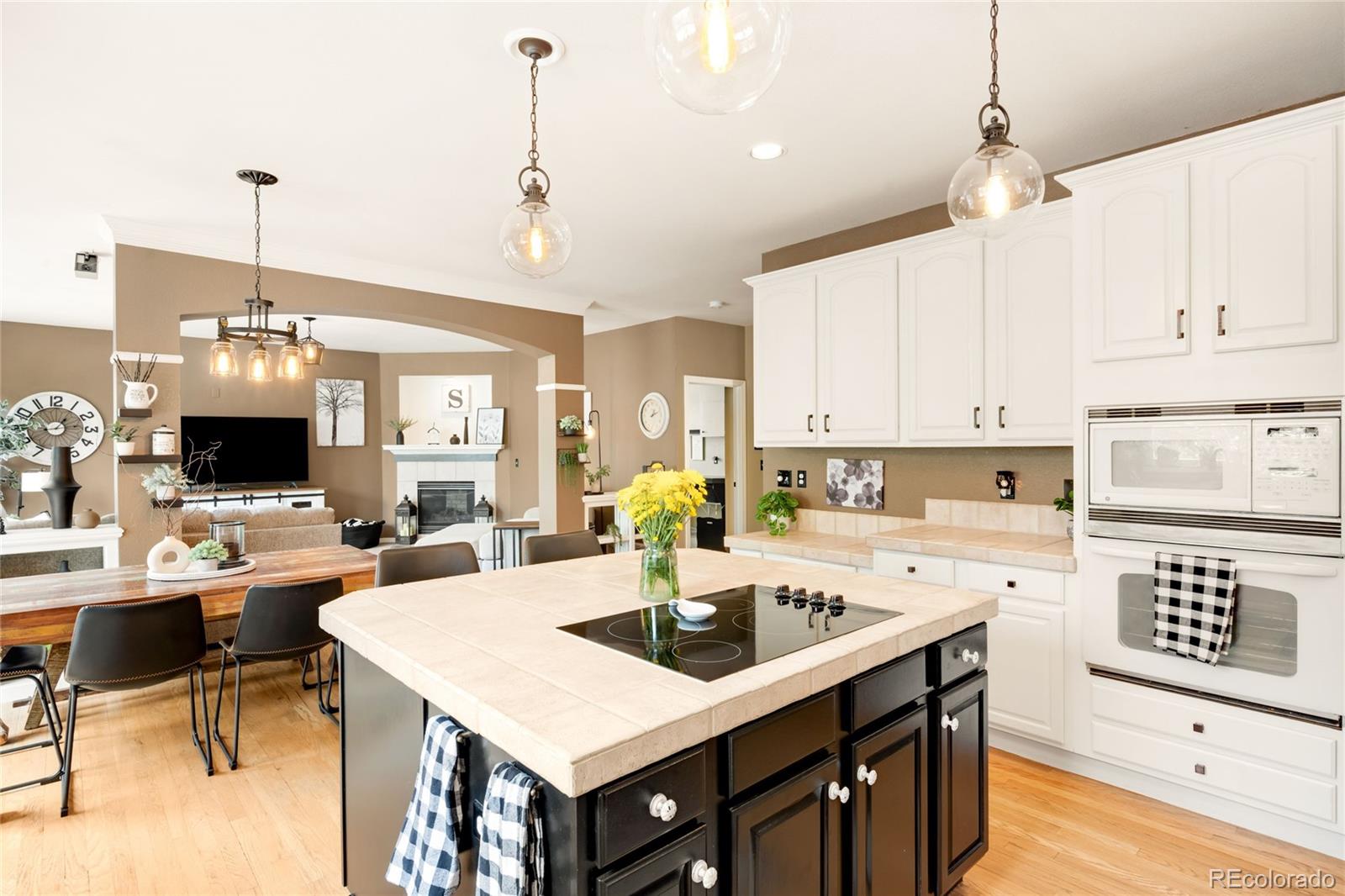 MLS Image #14 for 869  shadowstone drive,highlands ranch, Colorado