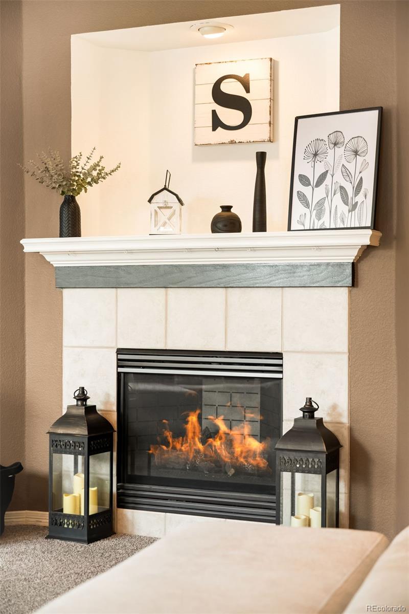 MLS Image #17 for 869  shadowstone drive,highlands ranch, Colorado