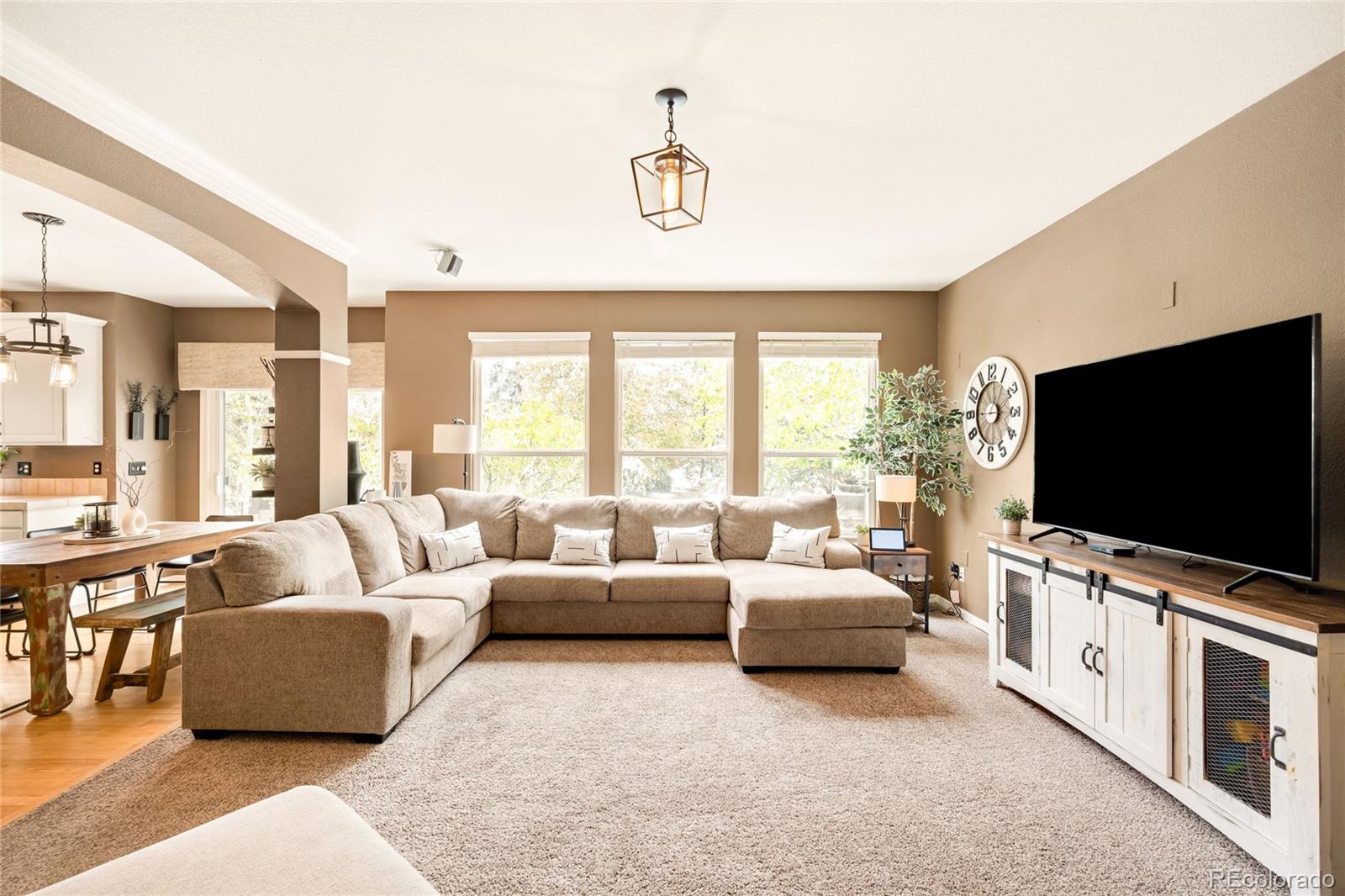MLS Image #18 for 869  shadowstone drive,highlands ranch, Colorado