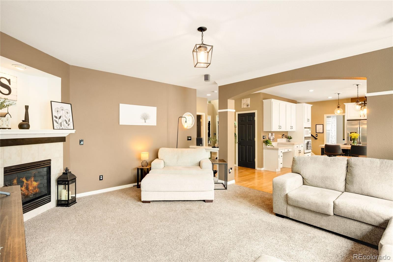 MLS Image #19 for 869  shadowstone drive,highlands ranch, Colorado