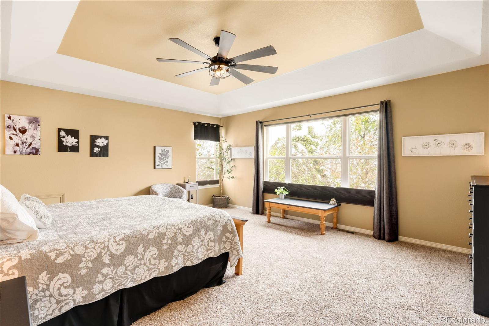 MLS Image #24 for 869  shadowstone drive,highlands ranch, Colorado