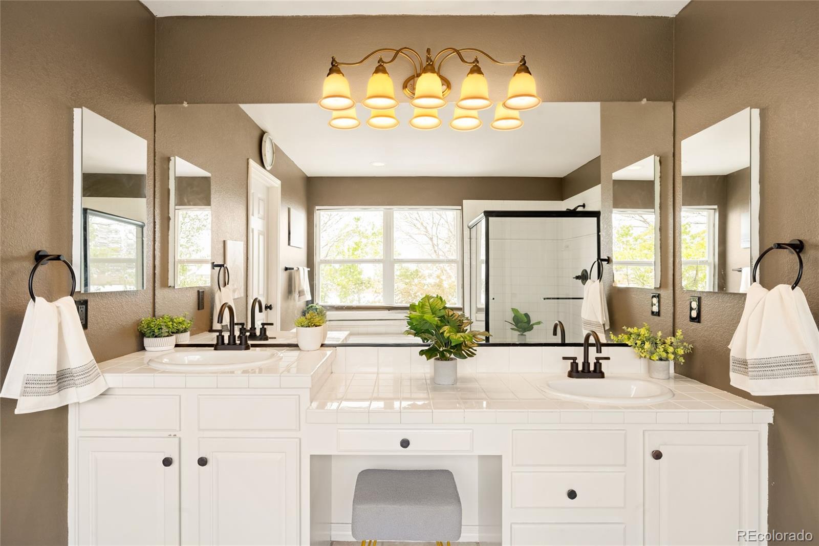 MLS Image #29 for 869  shadowstone drive,highlands ranch, Colorado