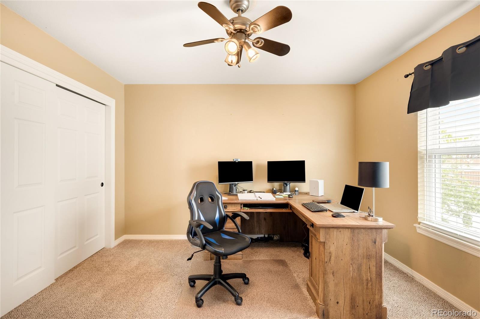 MLS Image #38 for 869  shadowstone drive,highlands ranch, Colorado