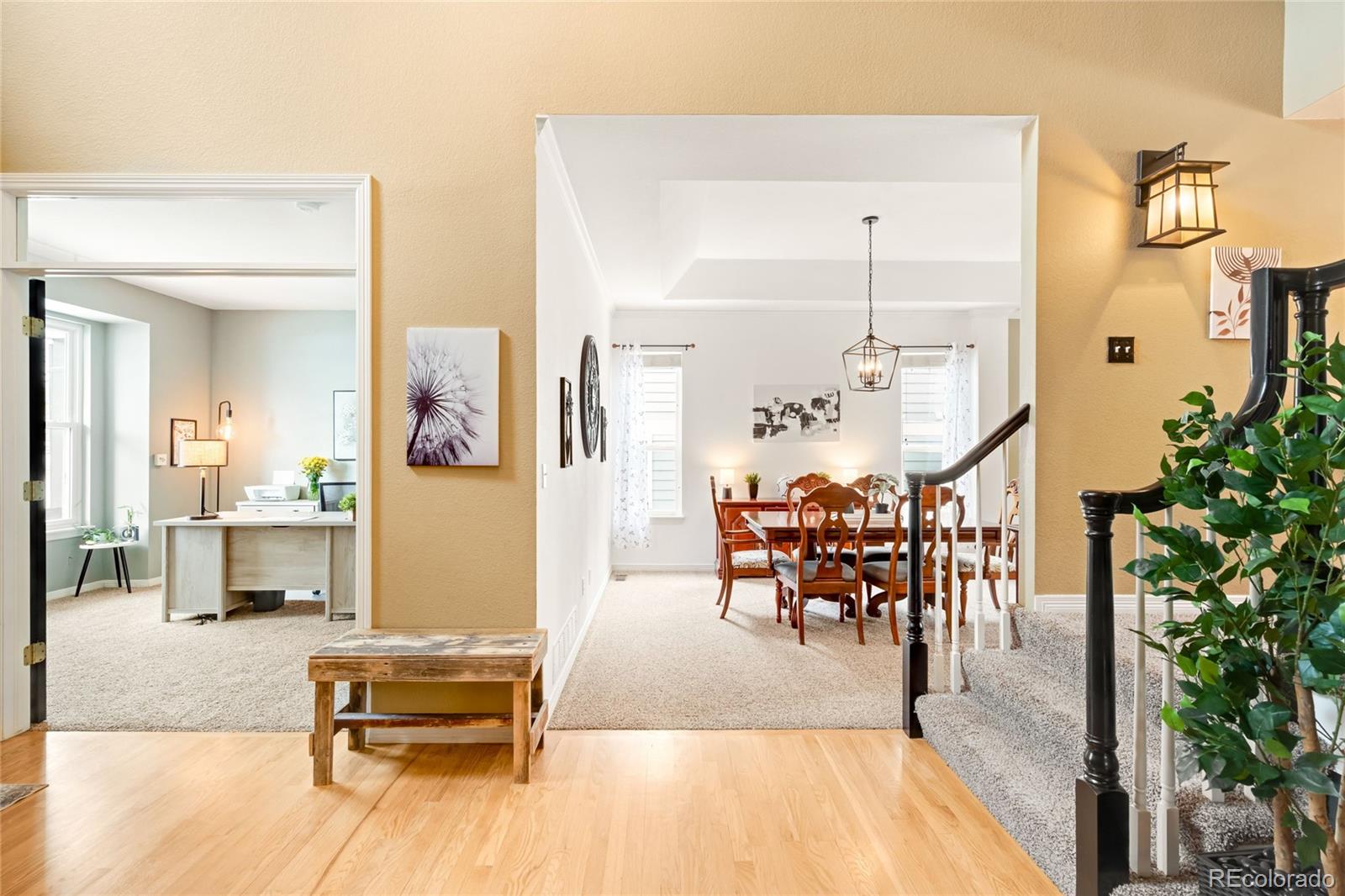 MLS Image #5 for 869  shadowstone drive,highlands ranch, Colorado