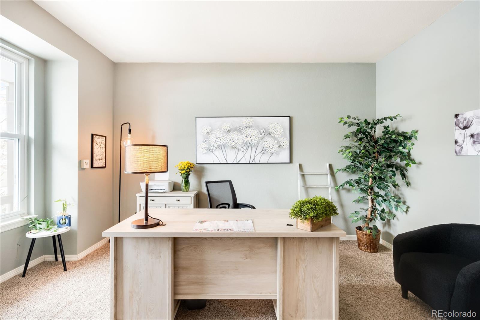 MLS Image #7 for 869  shadowstone drive,highlands ranch, Colorado