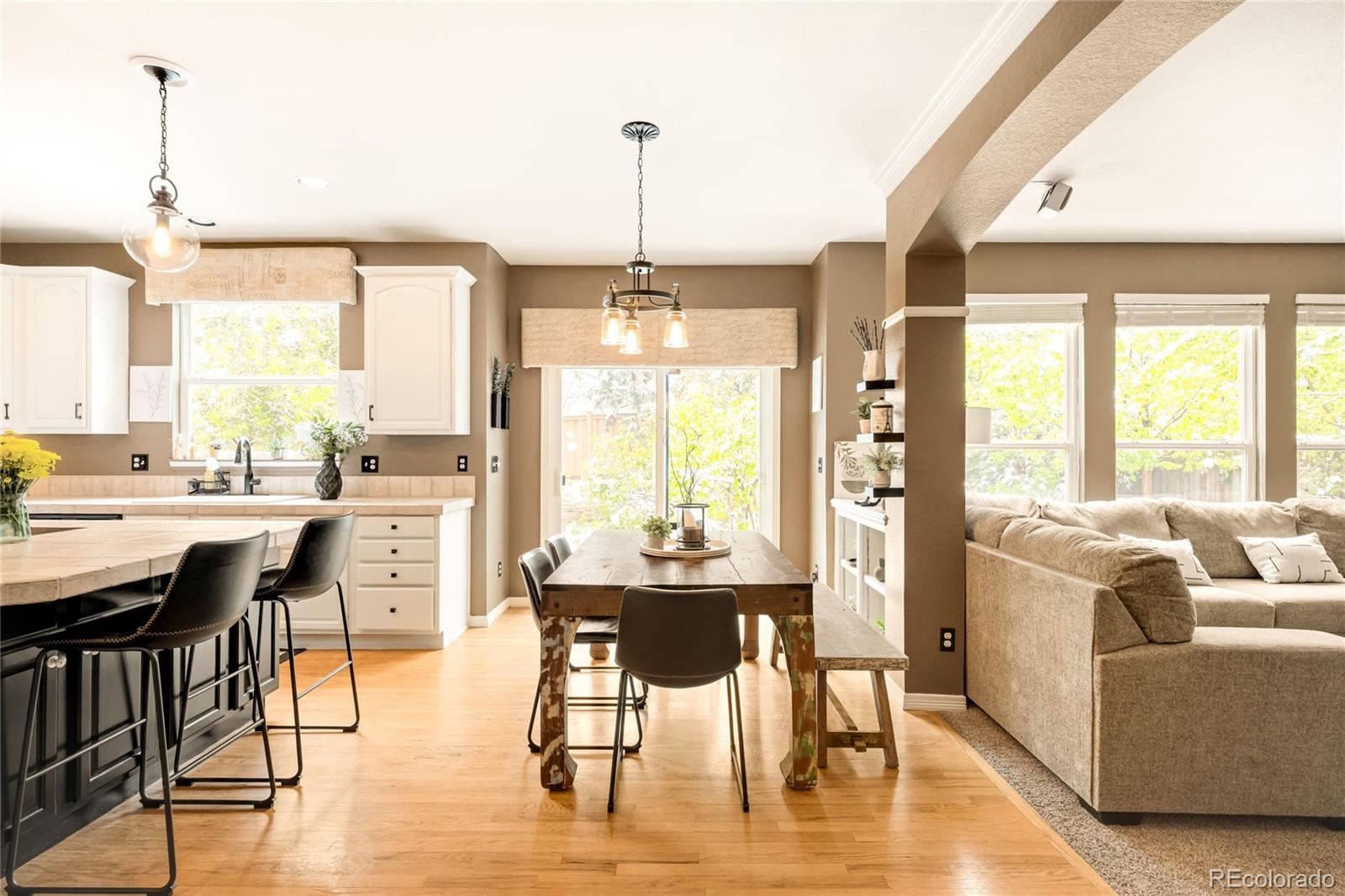 MLS Image #9 for 869  shadowstone drive,highlands ranch, Colorado
