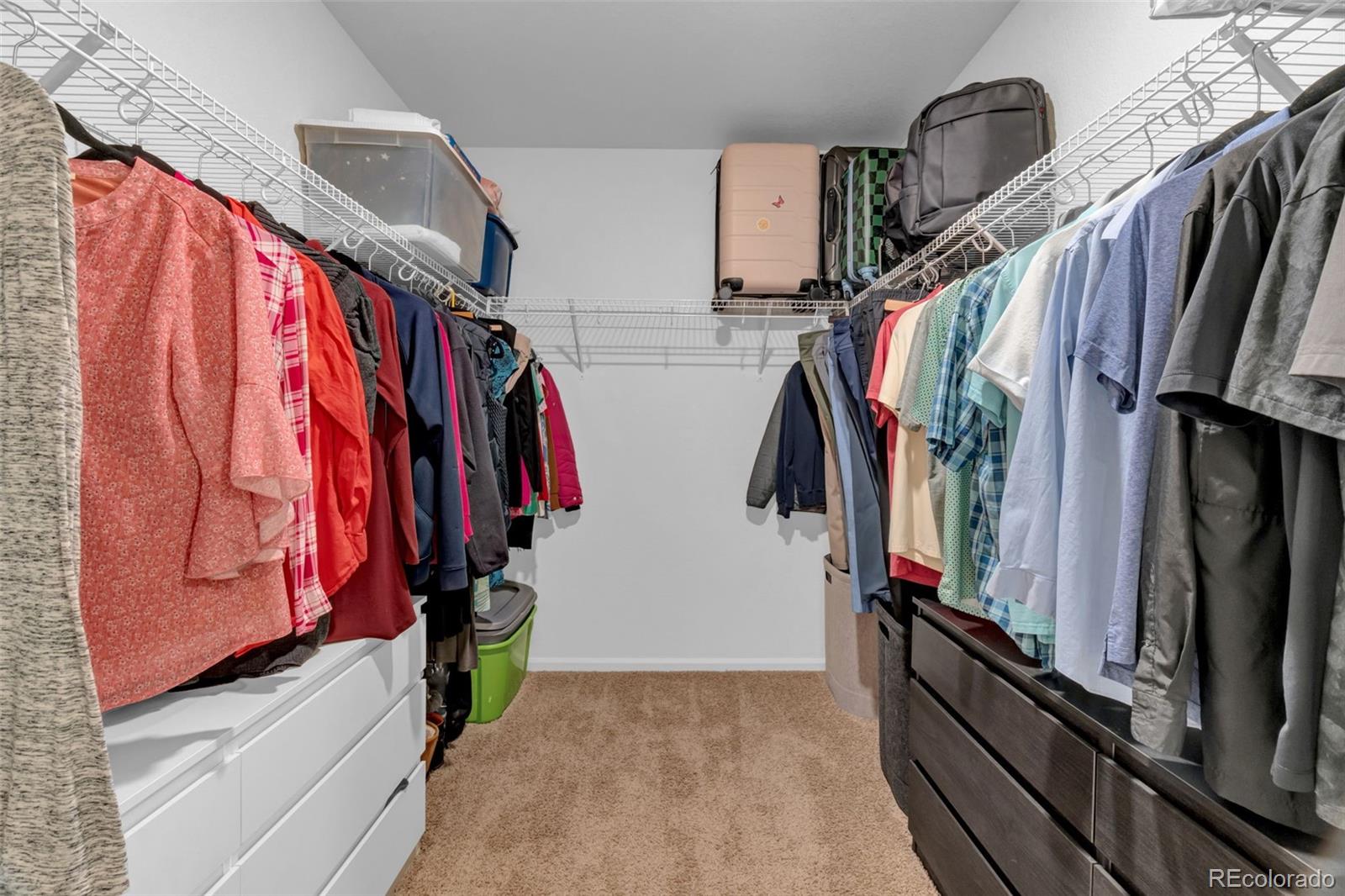 MLS Image #19 for 7238  aspen brook avenue,frederick, Colorado