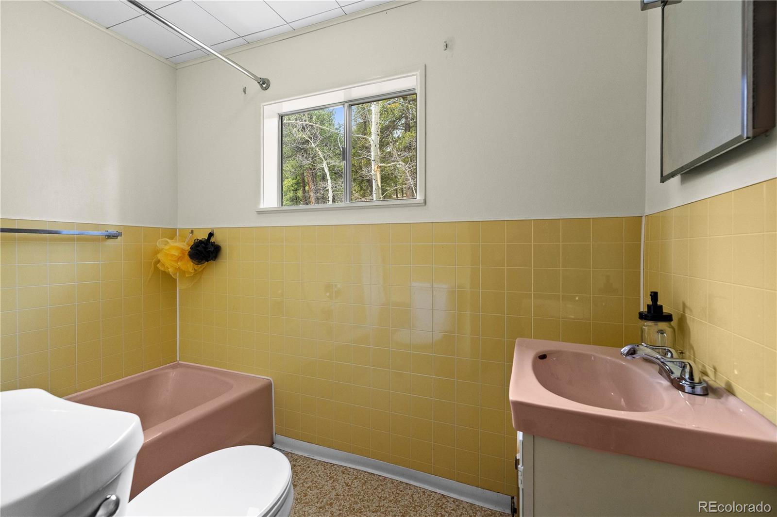MLS Image #14 for 125  road p62 ,bailey, Colorado