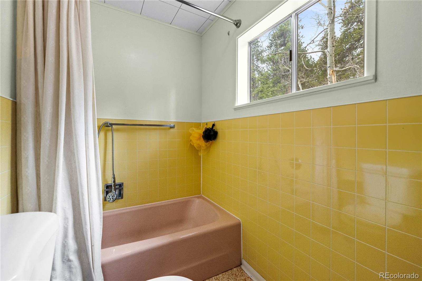 MLS Image #15 for 125  road p62 ,bailey, Colorado