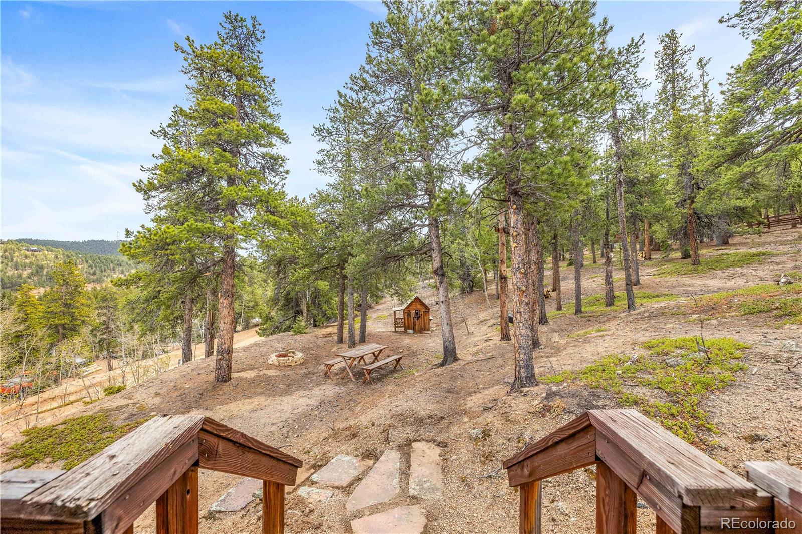 MLS Image #19 for 125  road p62 ,bailey, Colorado