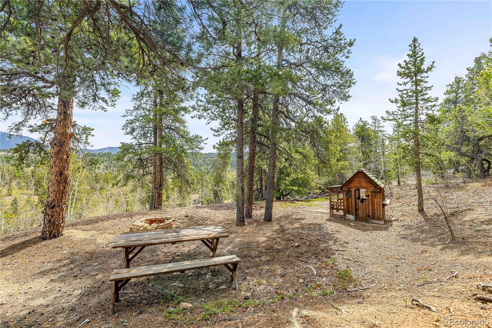 MLS Image #21 for 125  road p62 ,bailey, Colorado