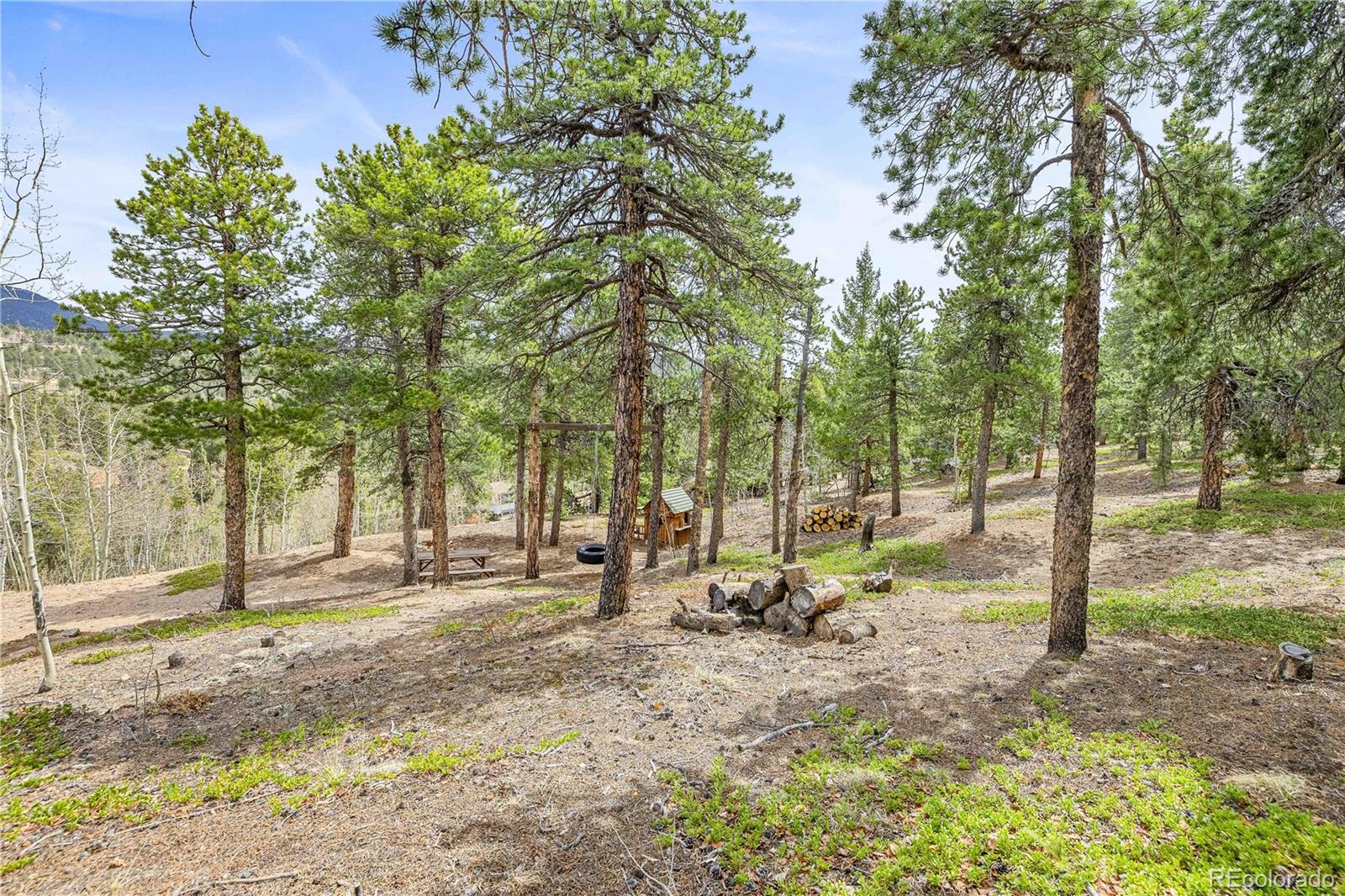MLS Image #25 for 125  road p62 ,bailey, Colorado