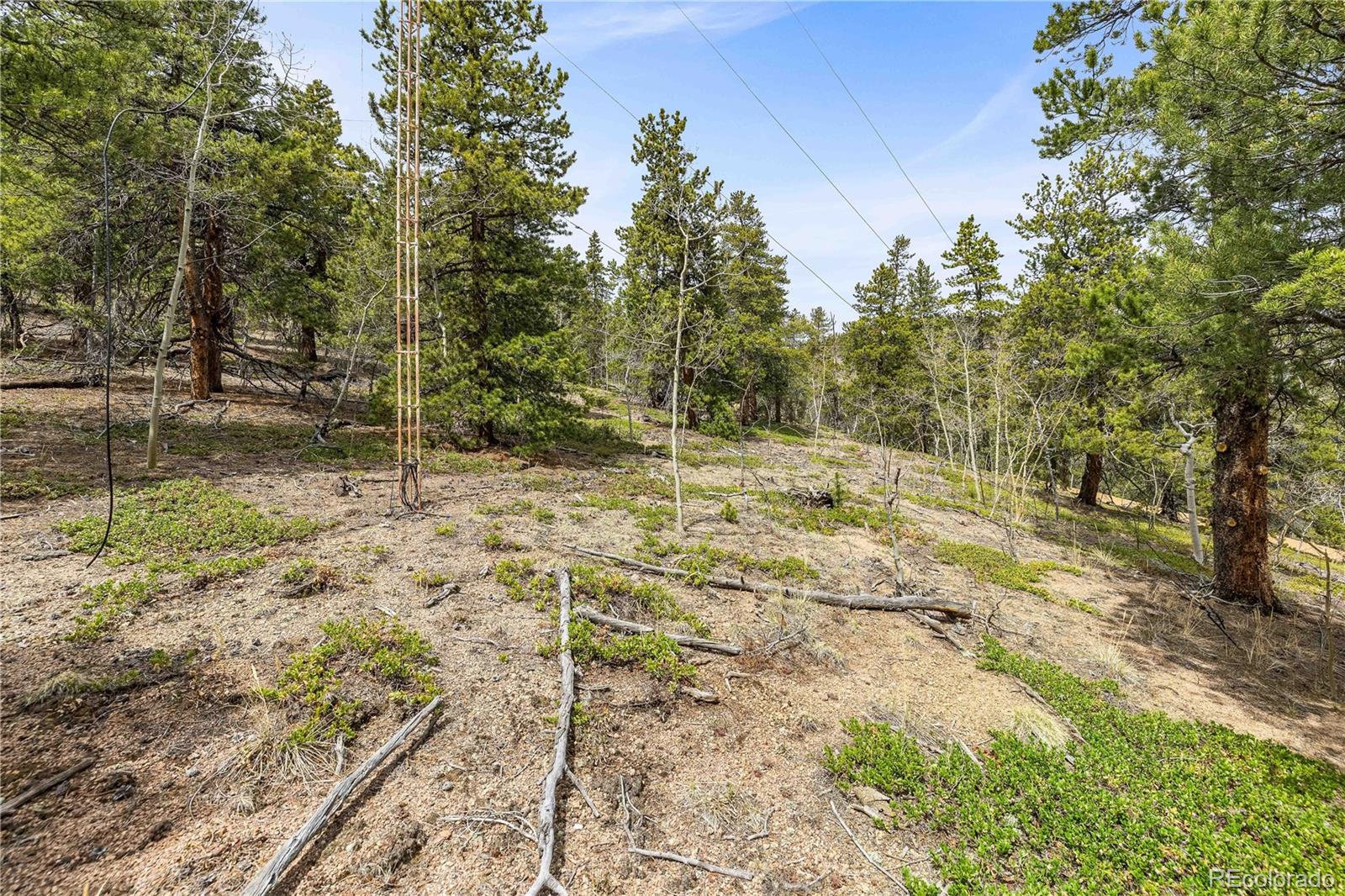 MLS Image #30 for 125  road p62 ,bailey, Colorado