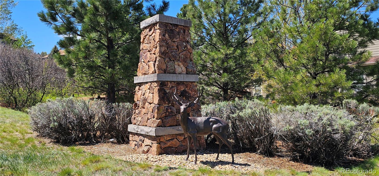MLS Image #47 for 2212  ridgetrail drive,castle rock, Colorado