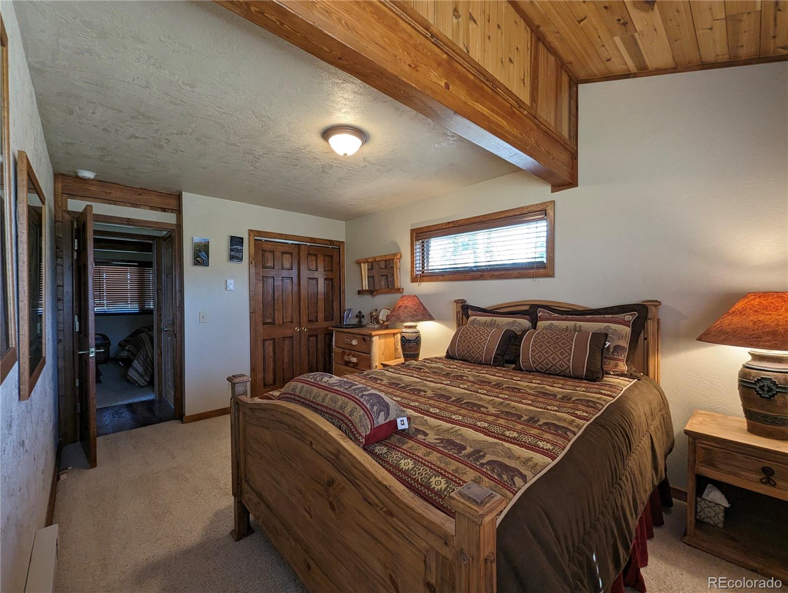 MLS Image #22 for 5751  emery loop,fort garland, Colorado