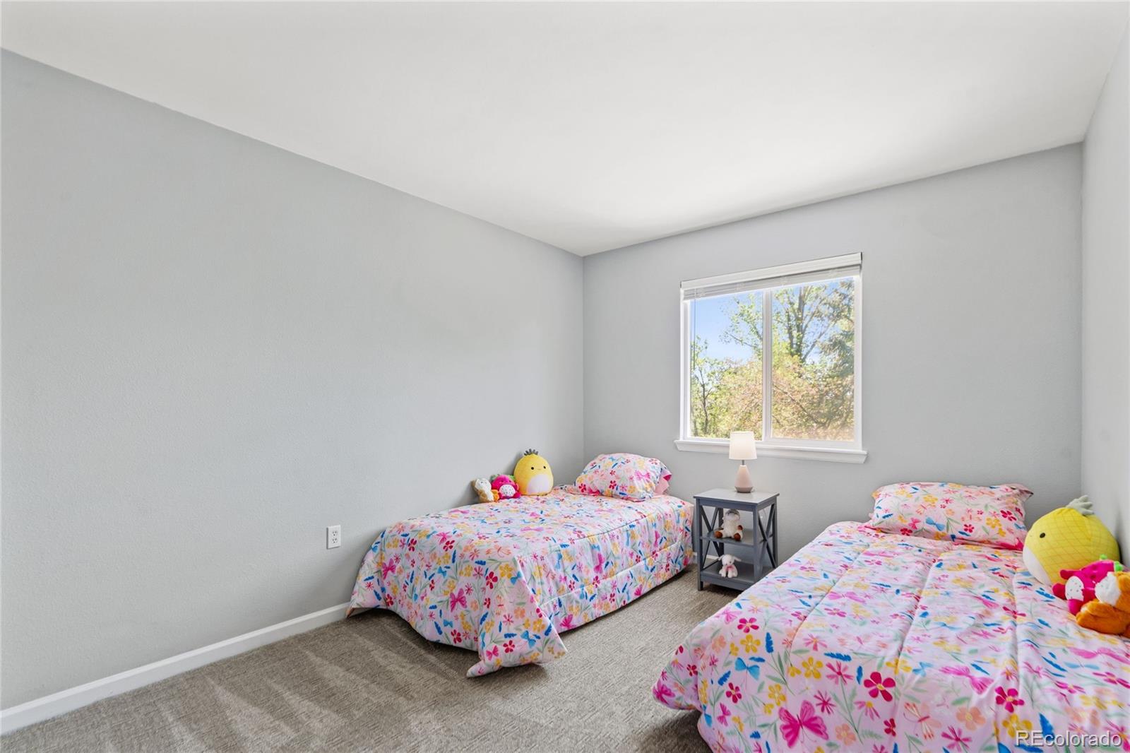 MLS Image #30 for 10094  rockrose court,parker, Colorado